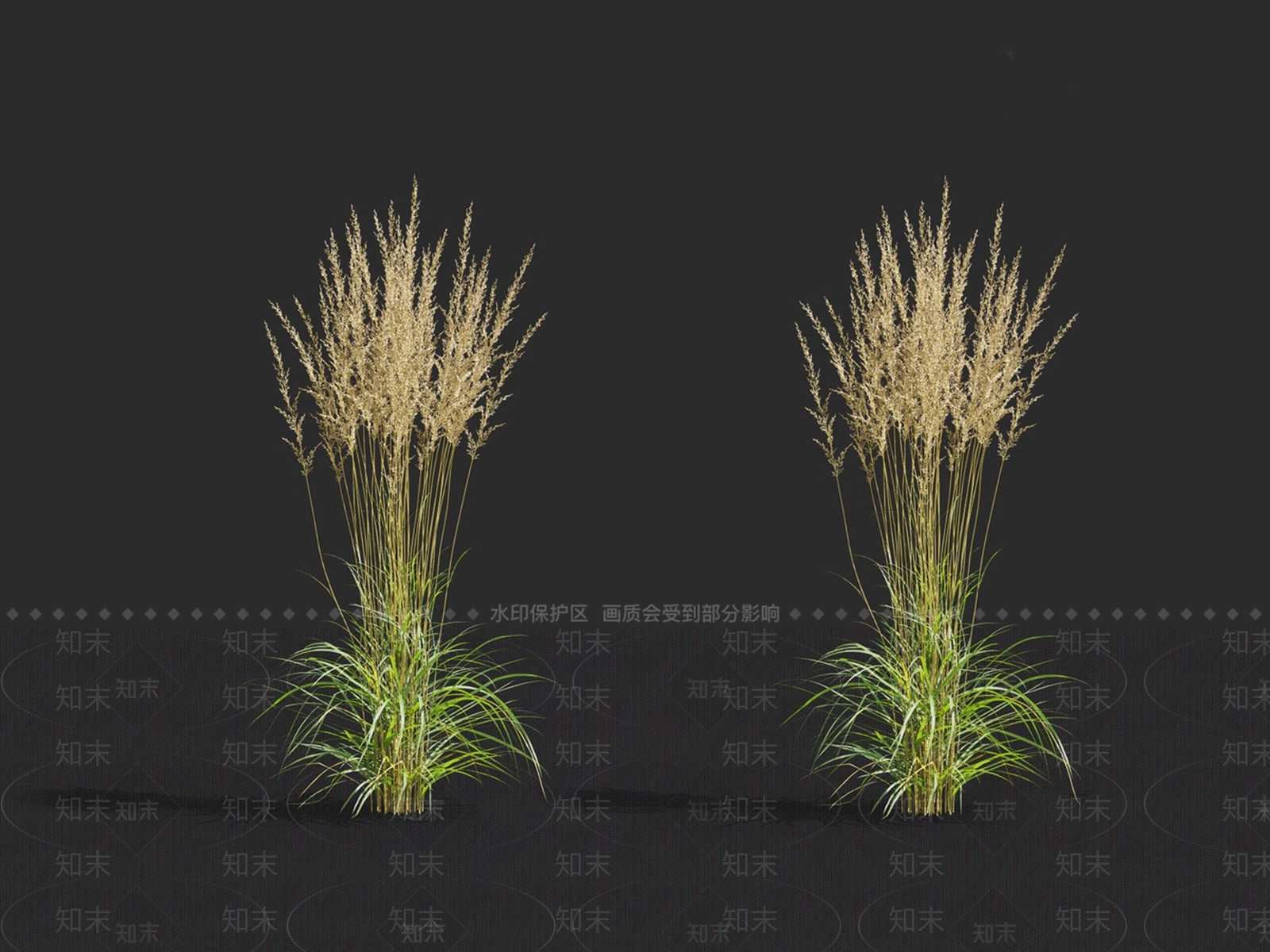 现代羽毛芦苇草3D模型下载【ID:1148315164】