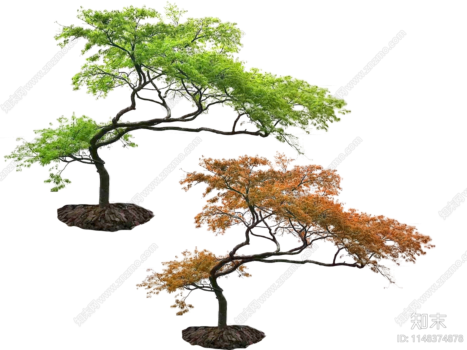 PSD免抠精品羽毛枫下载【ID:1148374878】