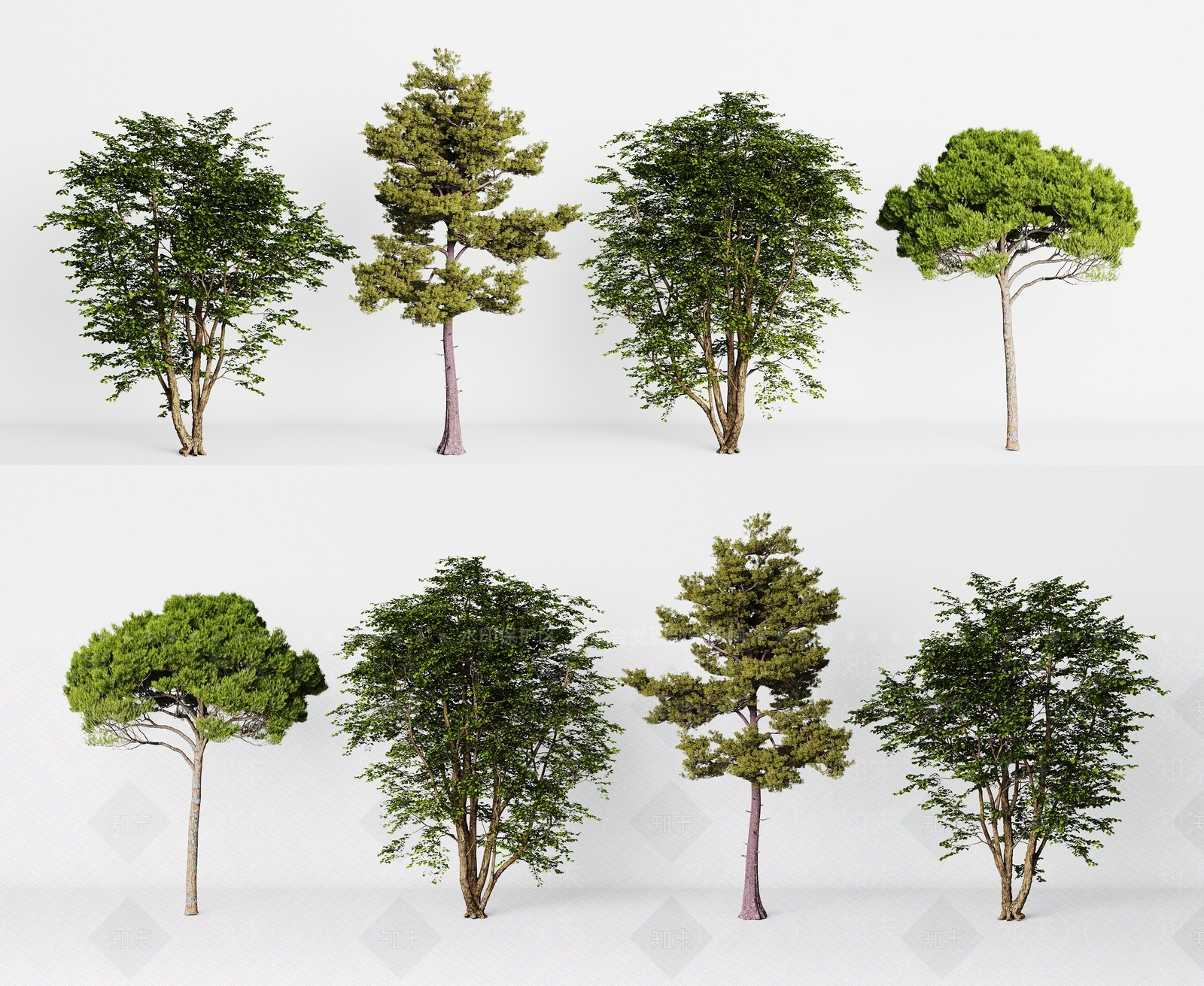 乔木3D模型下载【ID:1148456140】