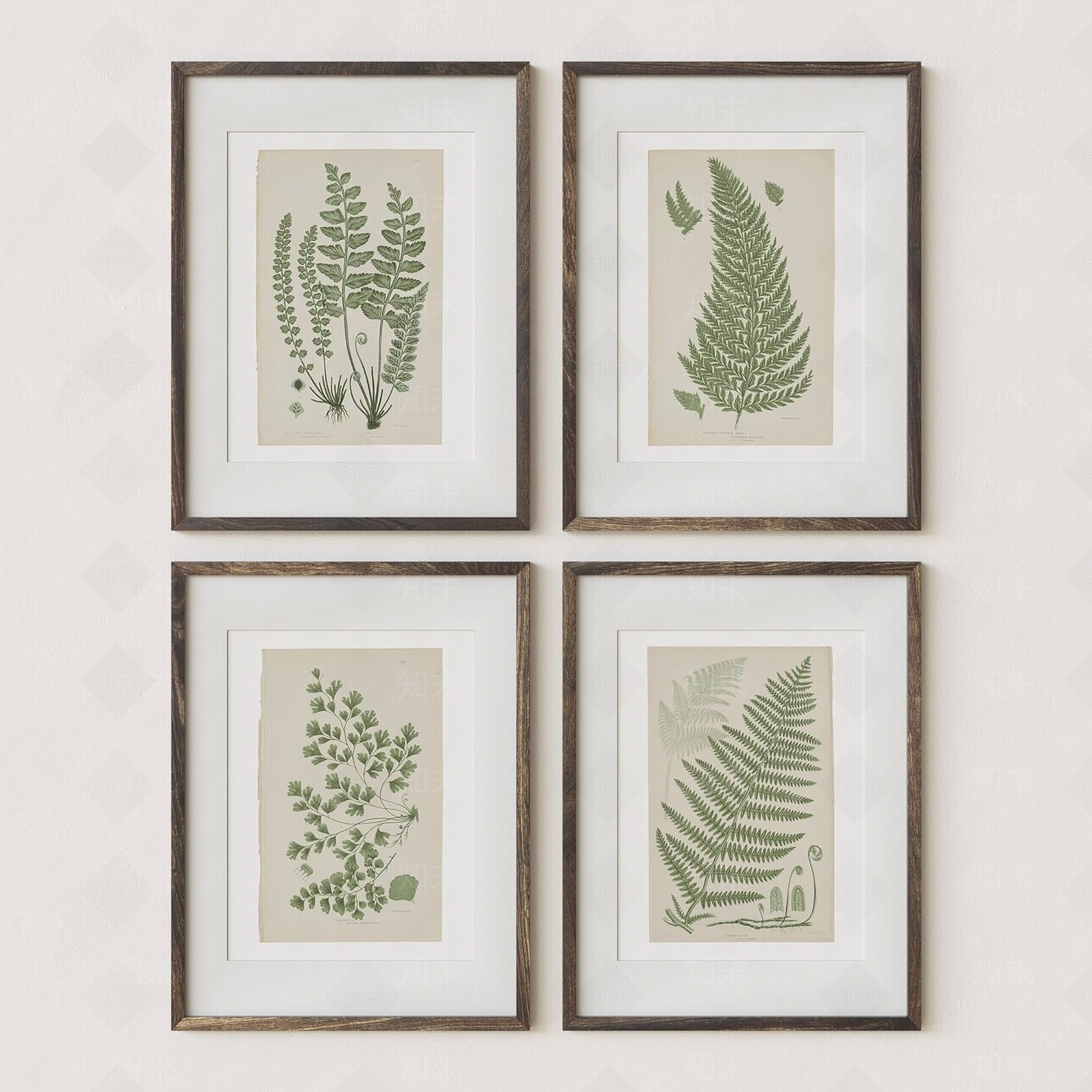 现代诧寂风热带雨林边框装饰画贴图下载【ID:1148498550】