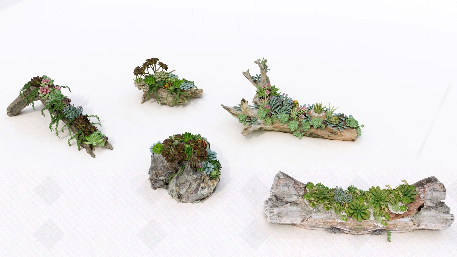 多肉树桩SU模型下载【ID:1148547072】