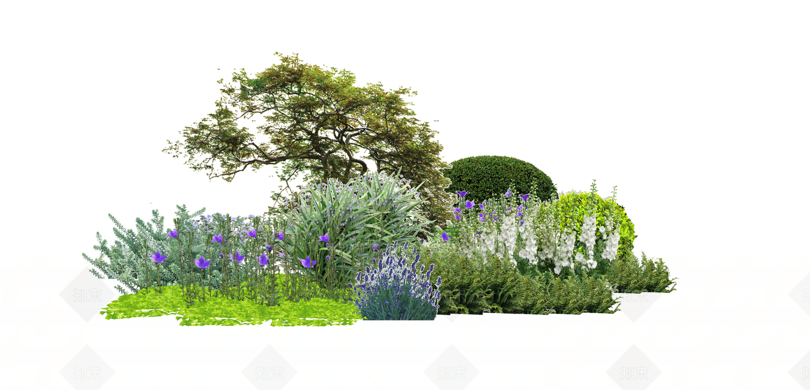 2D现代植物组团SU模型下载【ID:1148557731】