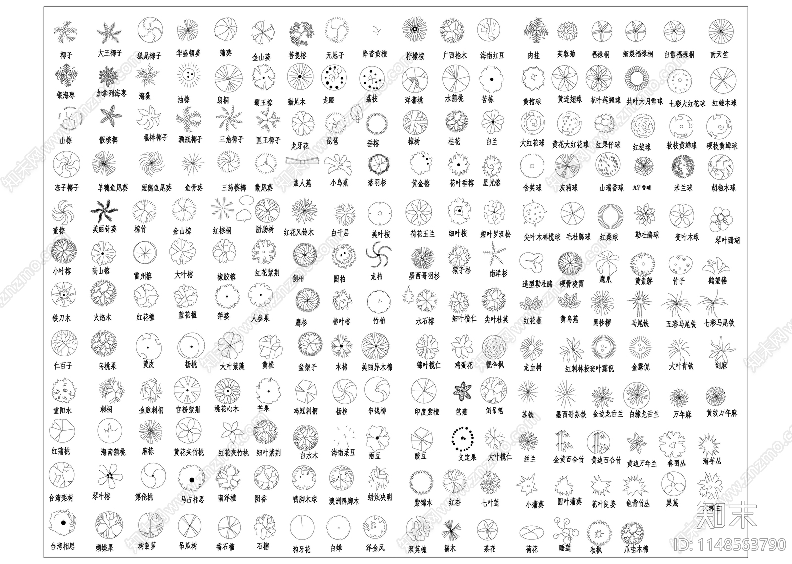 常用园林植物苗木图例集施工图下载【ID:1148563790】