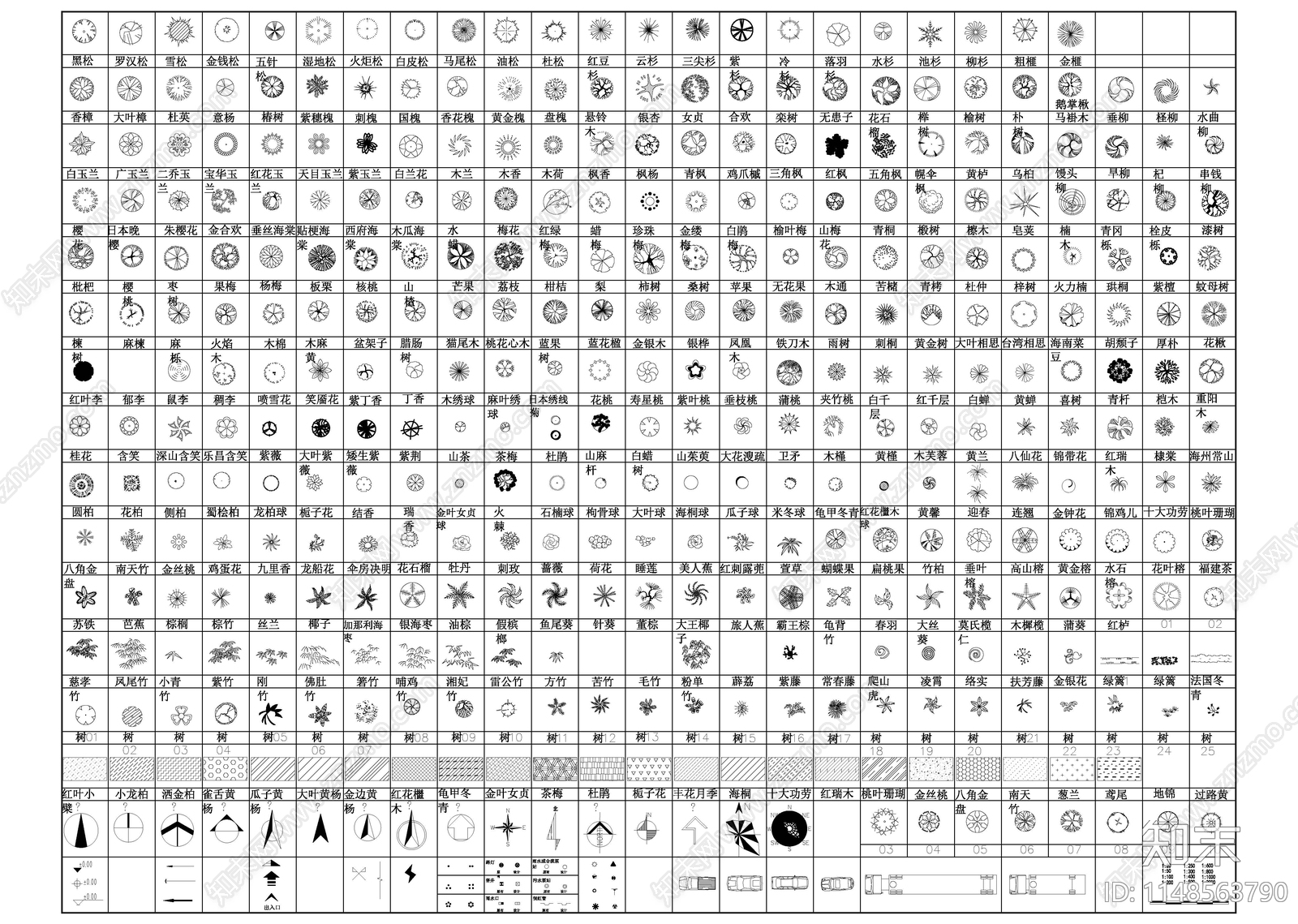 常用园林植物苗木图例集施工图下载【ID:1148563790】