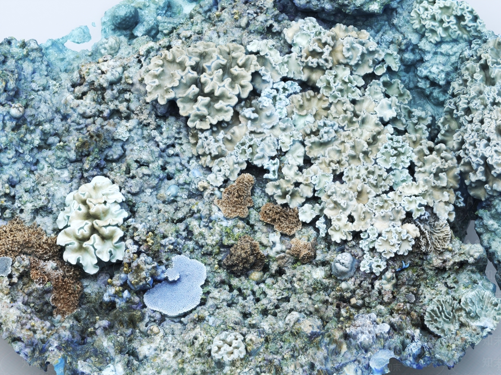 珊瑚礁3D模型下载【ID:1148627916】