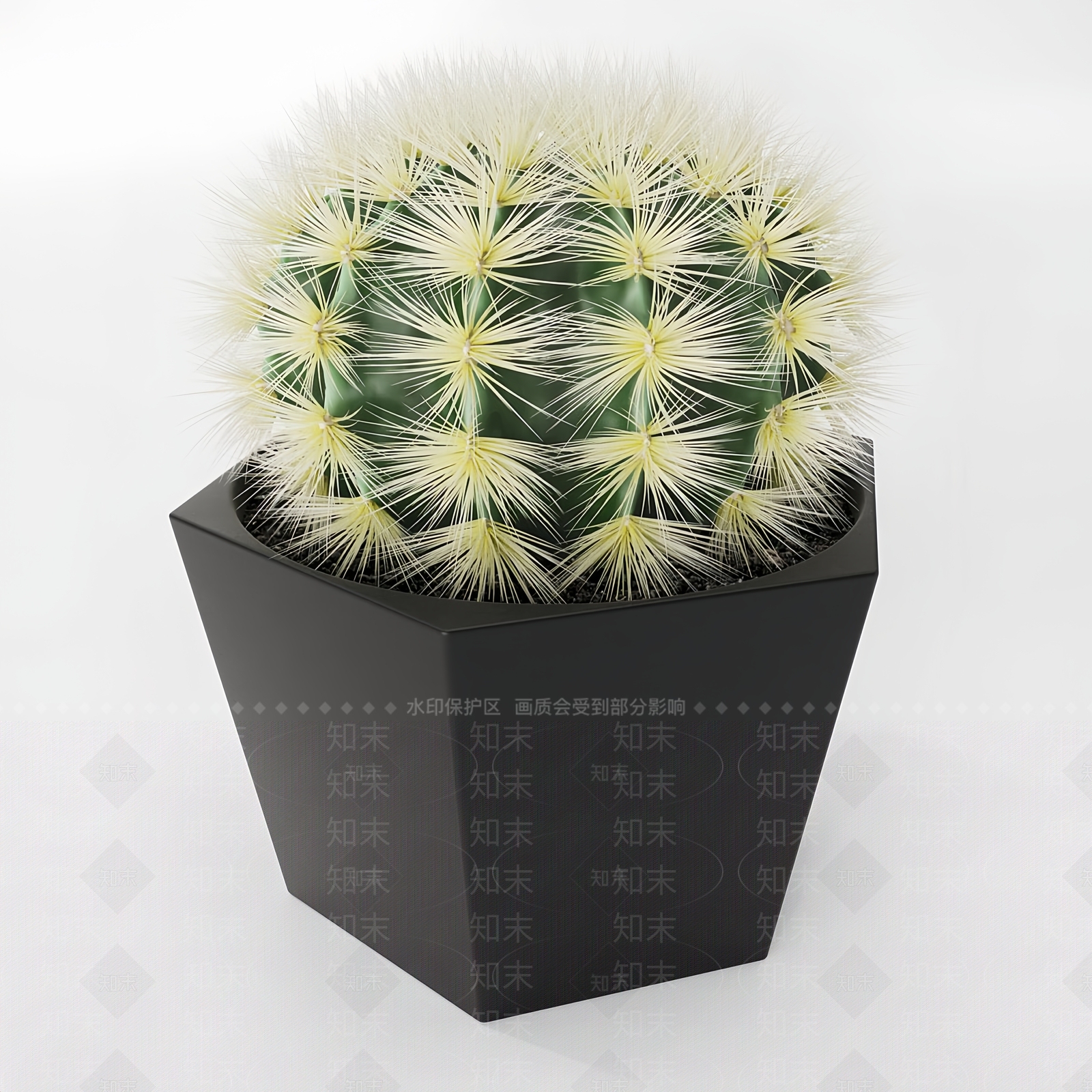 景观仙人掌盆栽3D模型下载【ID:1148648689】