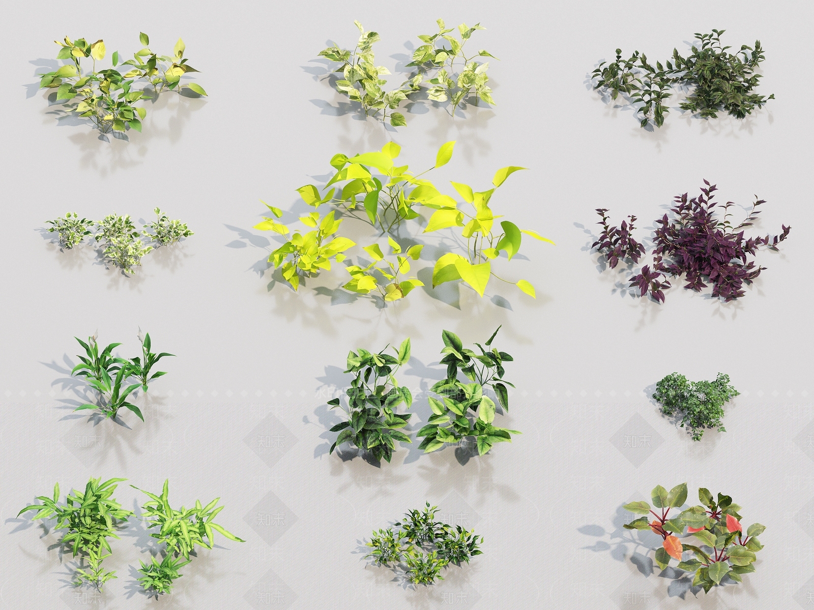 现代植物3D模型下载【ID:1148649217】