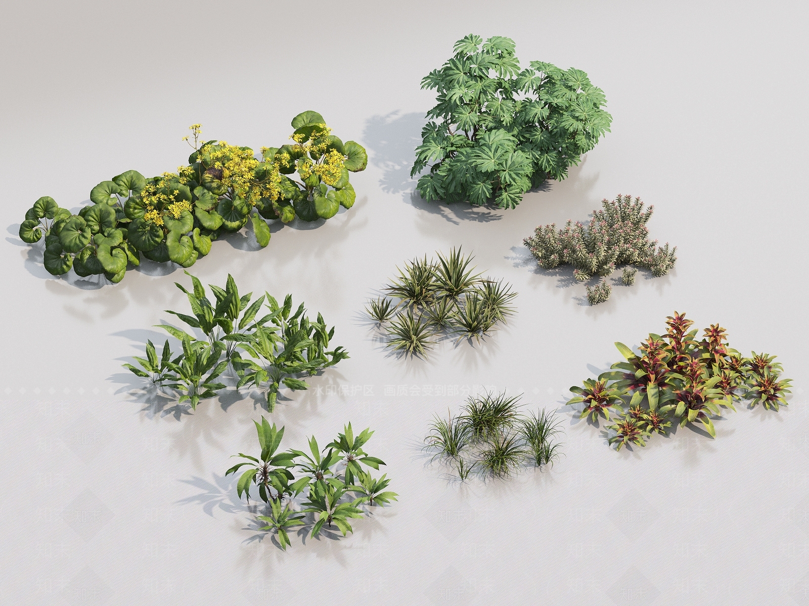 现代植物3D模型下载【ID:1148649306】