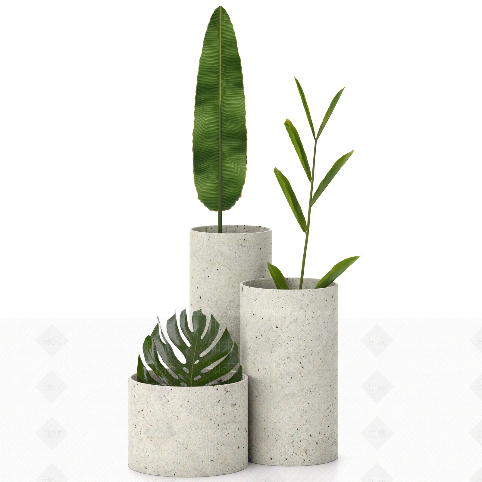 室内植物盆栽3D模型下载【ID:1148656795】