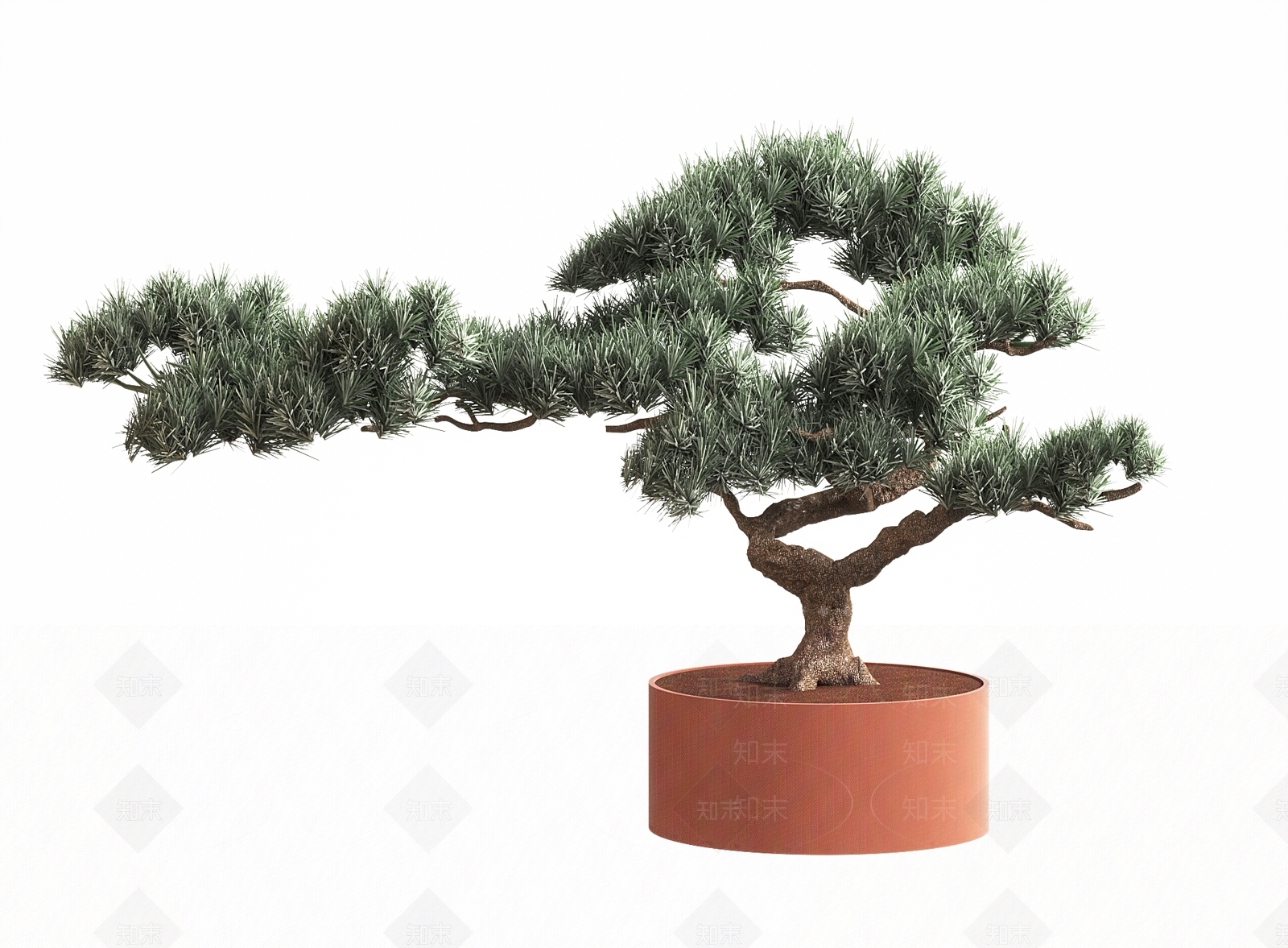 新中式松树盆景3D模型下载【ID:1148698032】