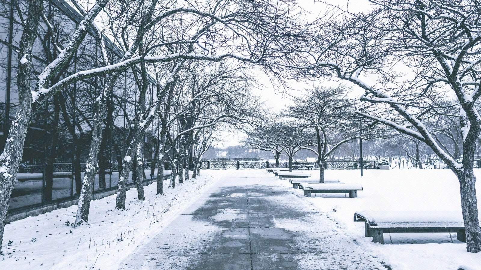 国外街道雪景贴图下载【ID:1148742175】