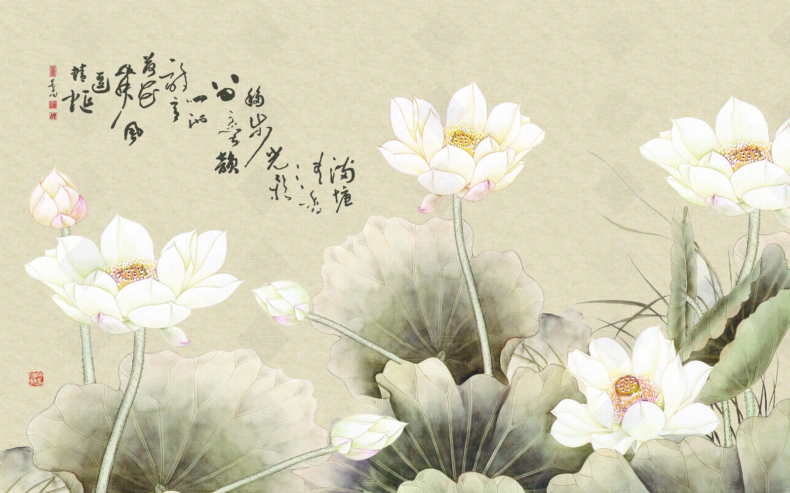 花鸟壁纸高清贴图材质