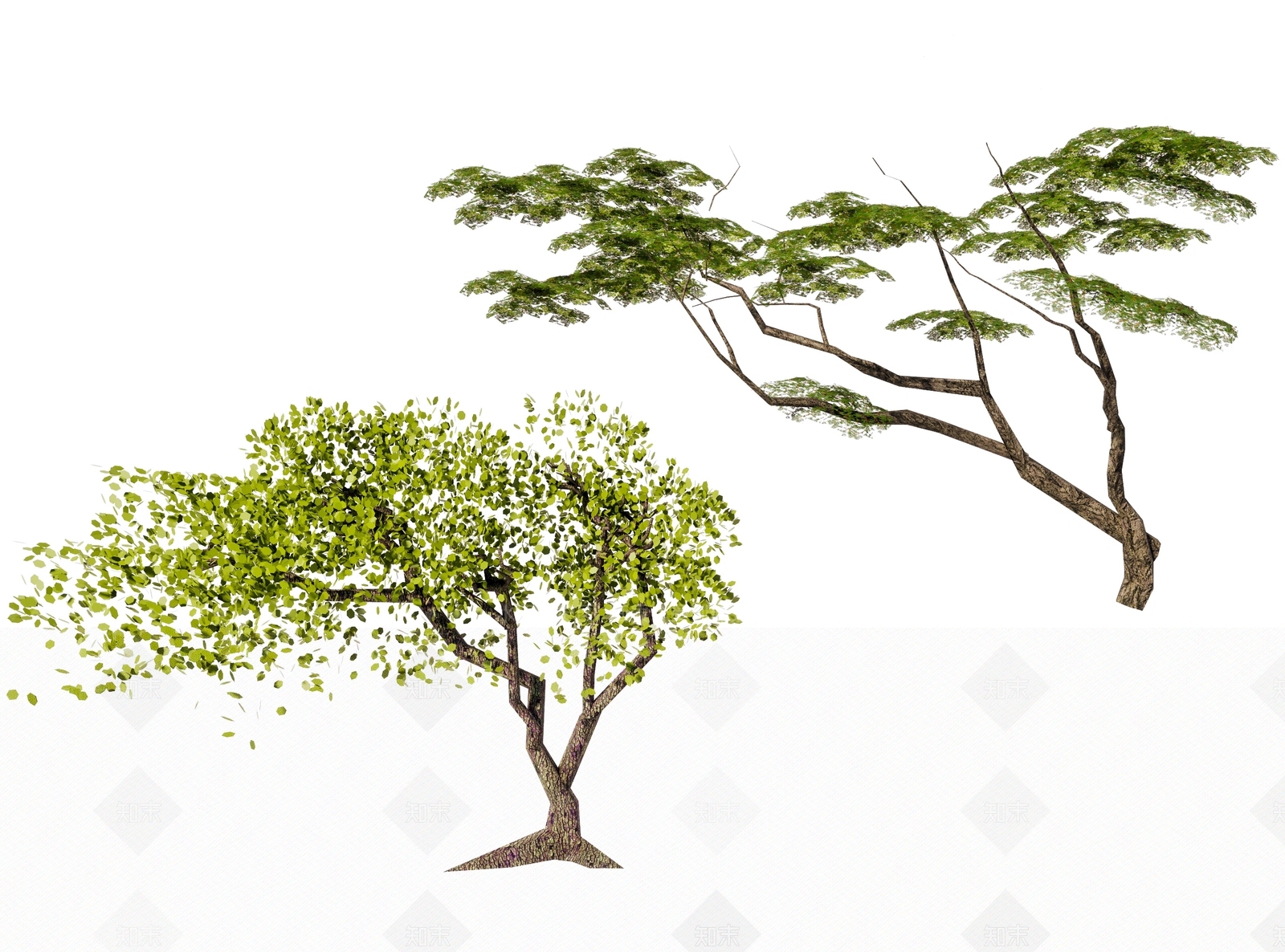 现代歪脖子树3D模型下载【ID:1148873694】