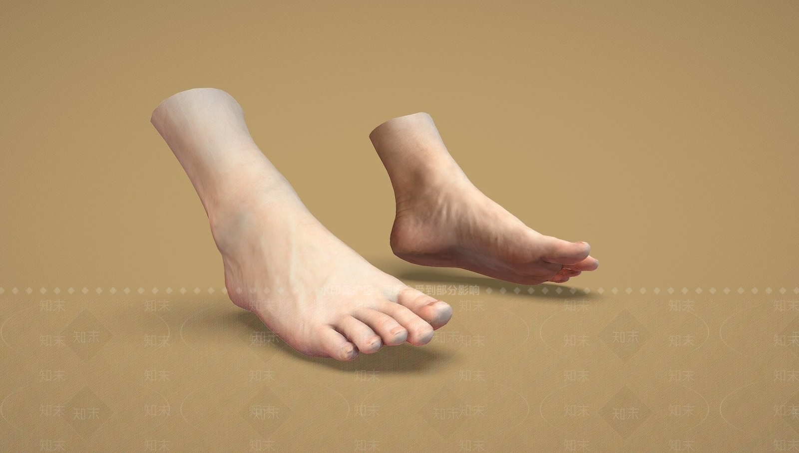 脚骨SU模型下载【ID:1148883328】