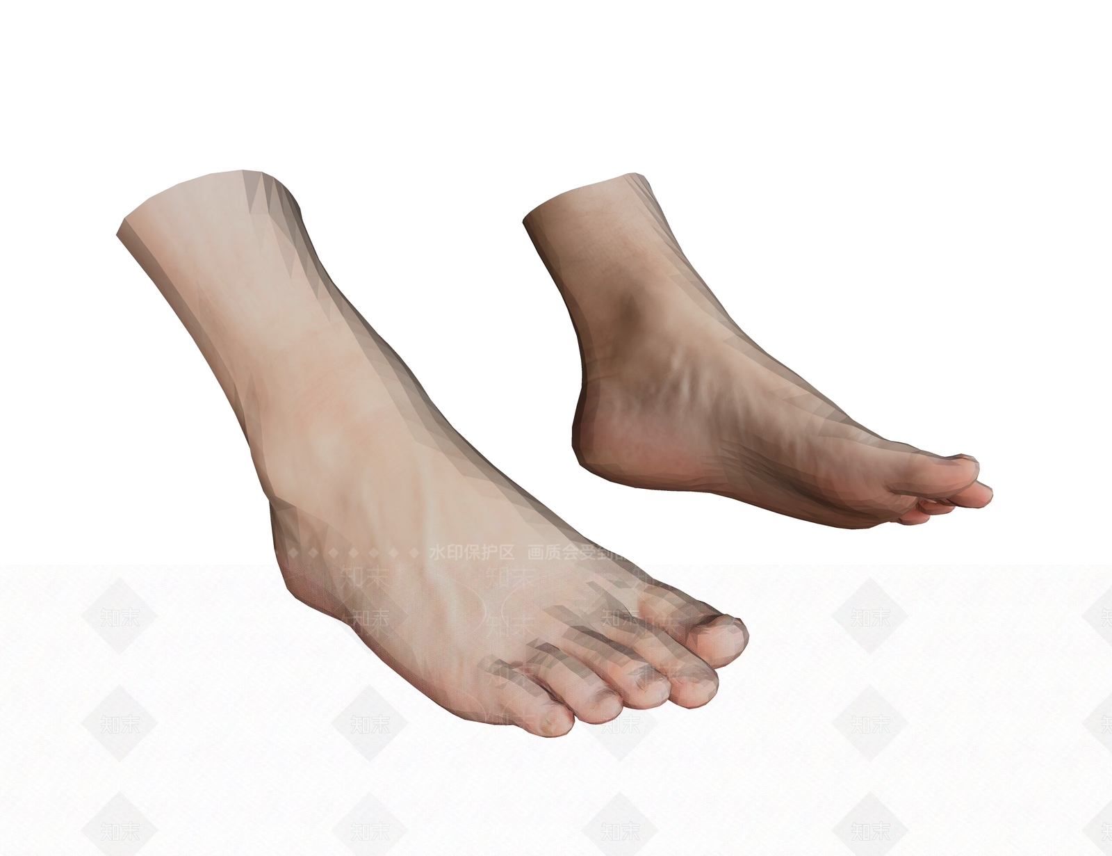 脚骨SU模型下载【ID:1148883328】