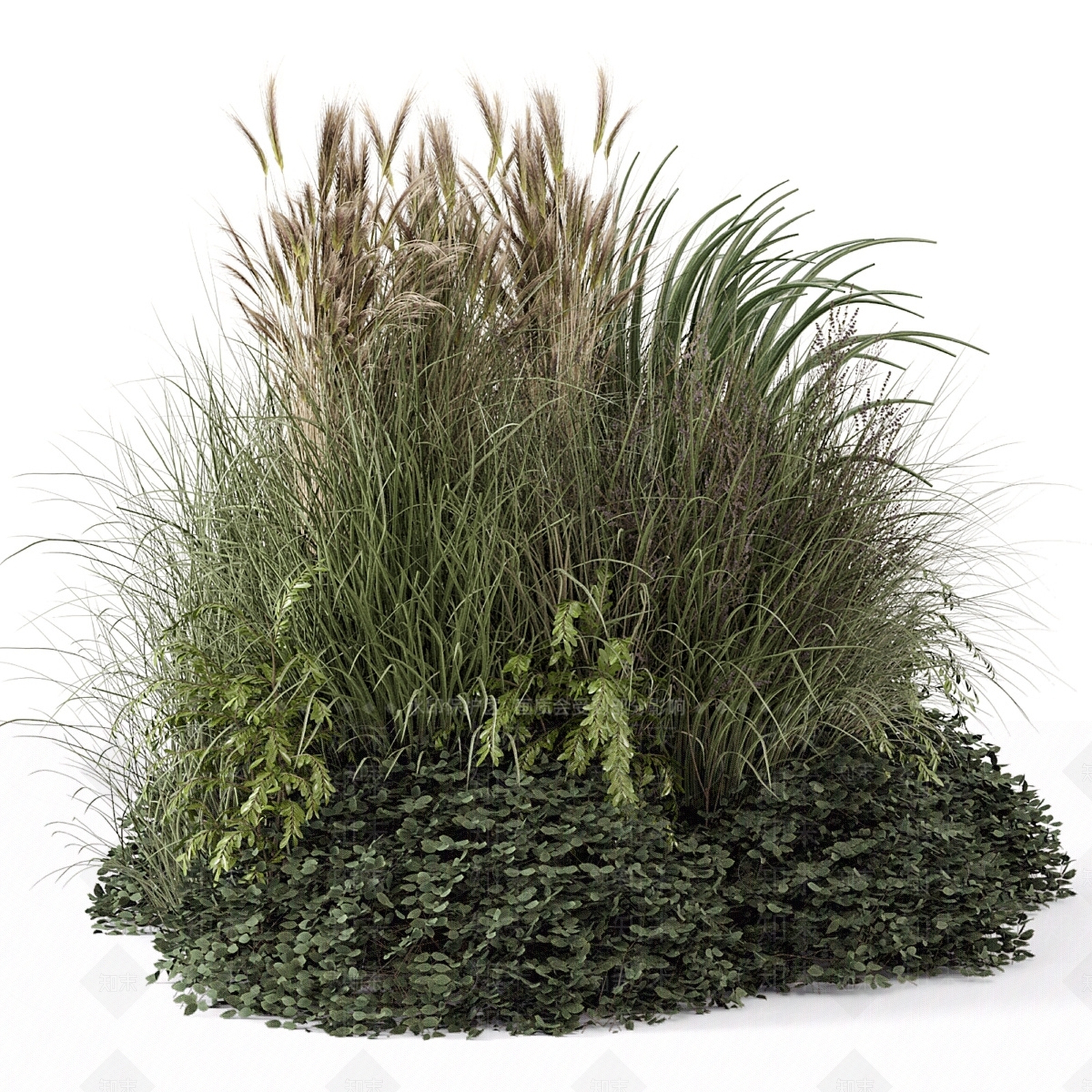 草3D模型下载【ID:1148917479】
