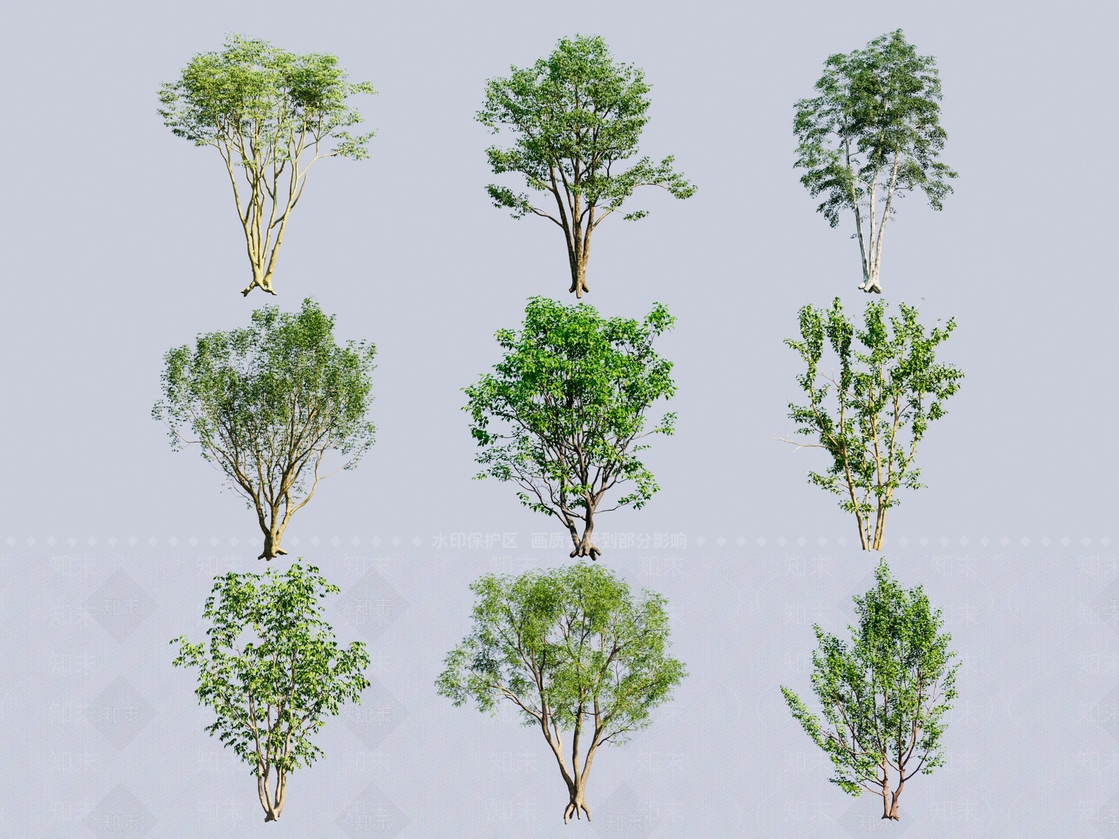 乔木3D模型下载【ID:1148947248】