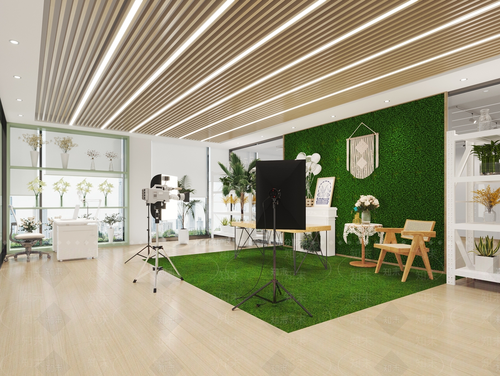 现代花卉直播间3D模型下载【ID:1148982029】