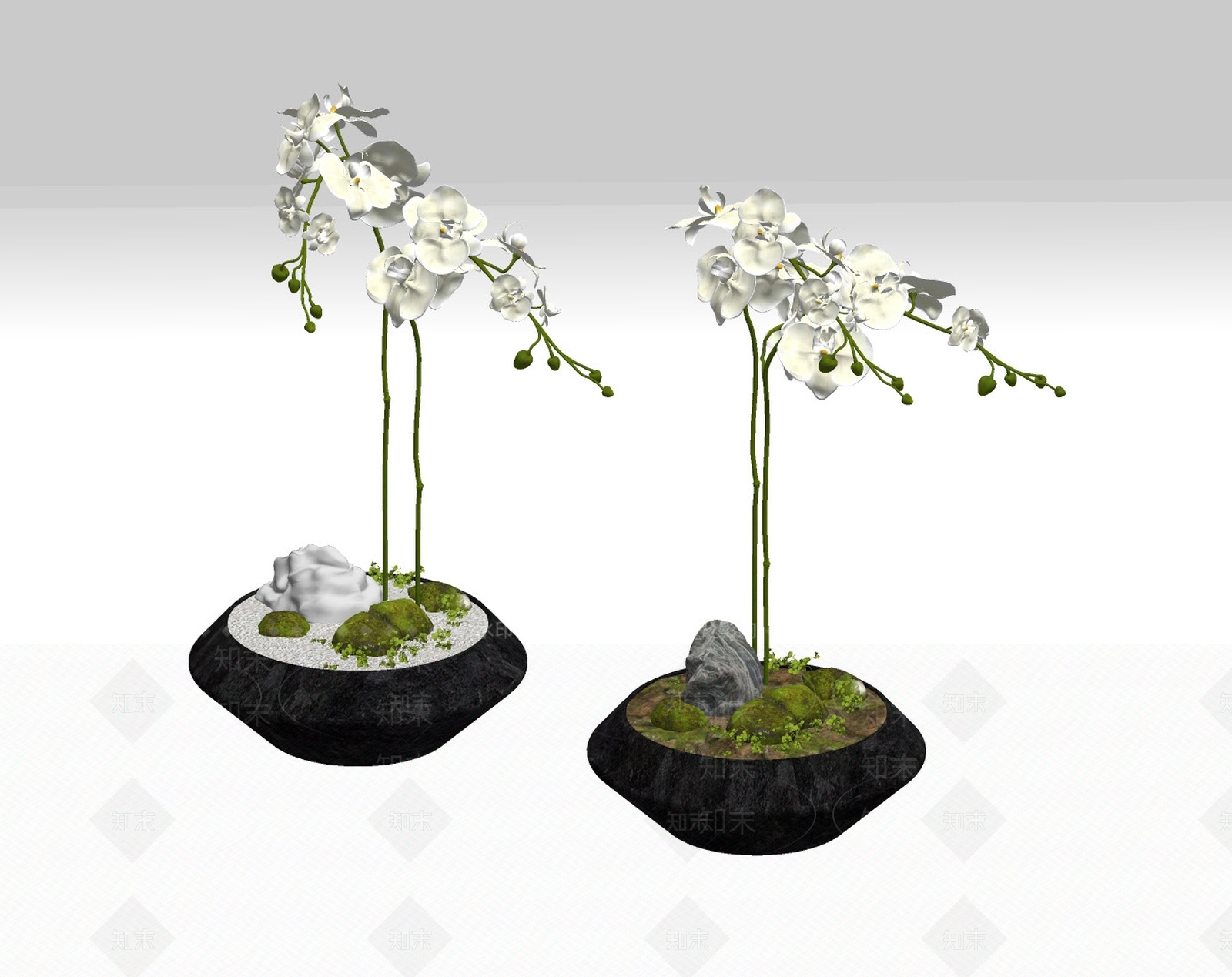 蝴蝶兰盆栽盆景SU模型下载【ID:1149079336】