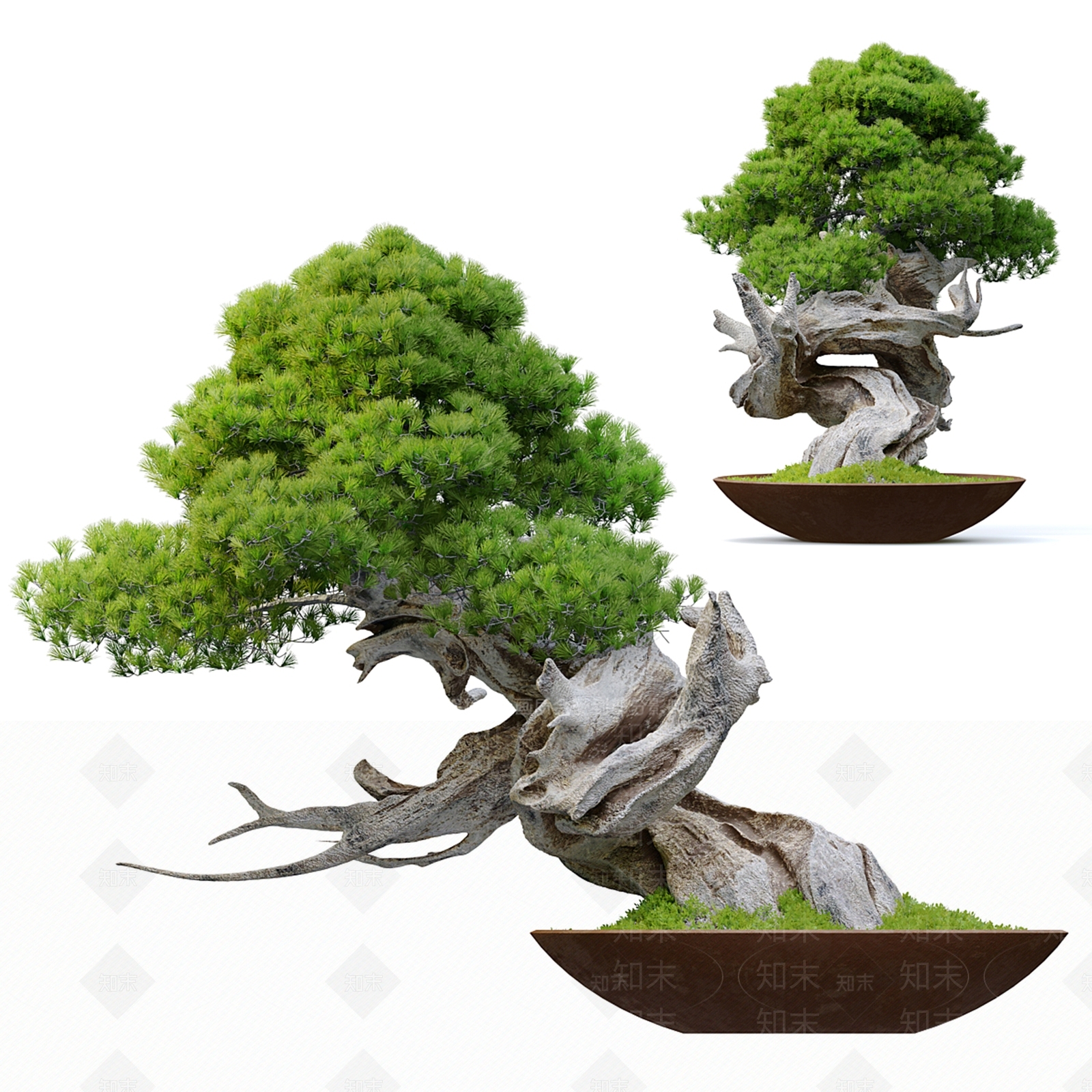 新中式植物盆景3D模型下载【ID:1149038213】