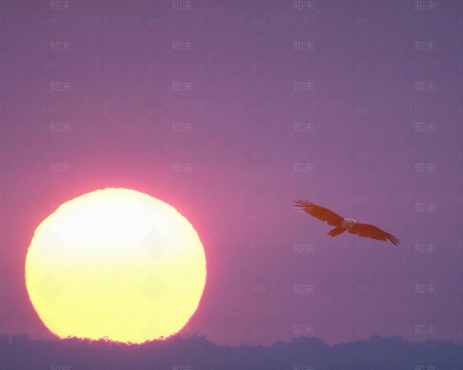 黄昏夕阳落日午后阳光大海天空日景云朵夕阳清晨傍晚天空图外景天空贴图下载【ID:1149047008】