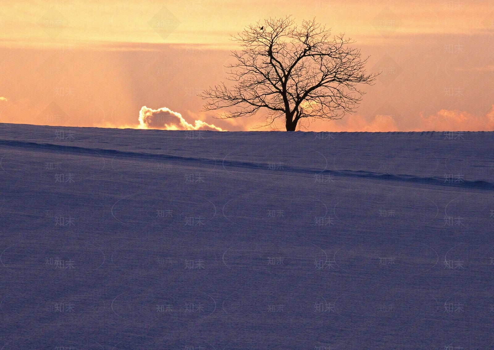 冬天雪天黄昏夕阳落日午后阳光大海天空日景云朵夕阳清晨傍晚外景天空贴图下载【ID:1149048119】