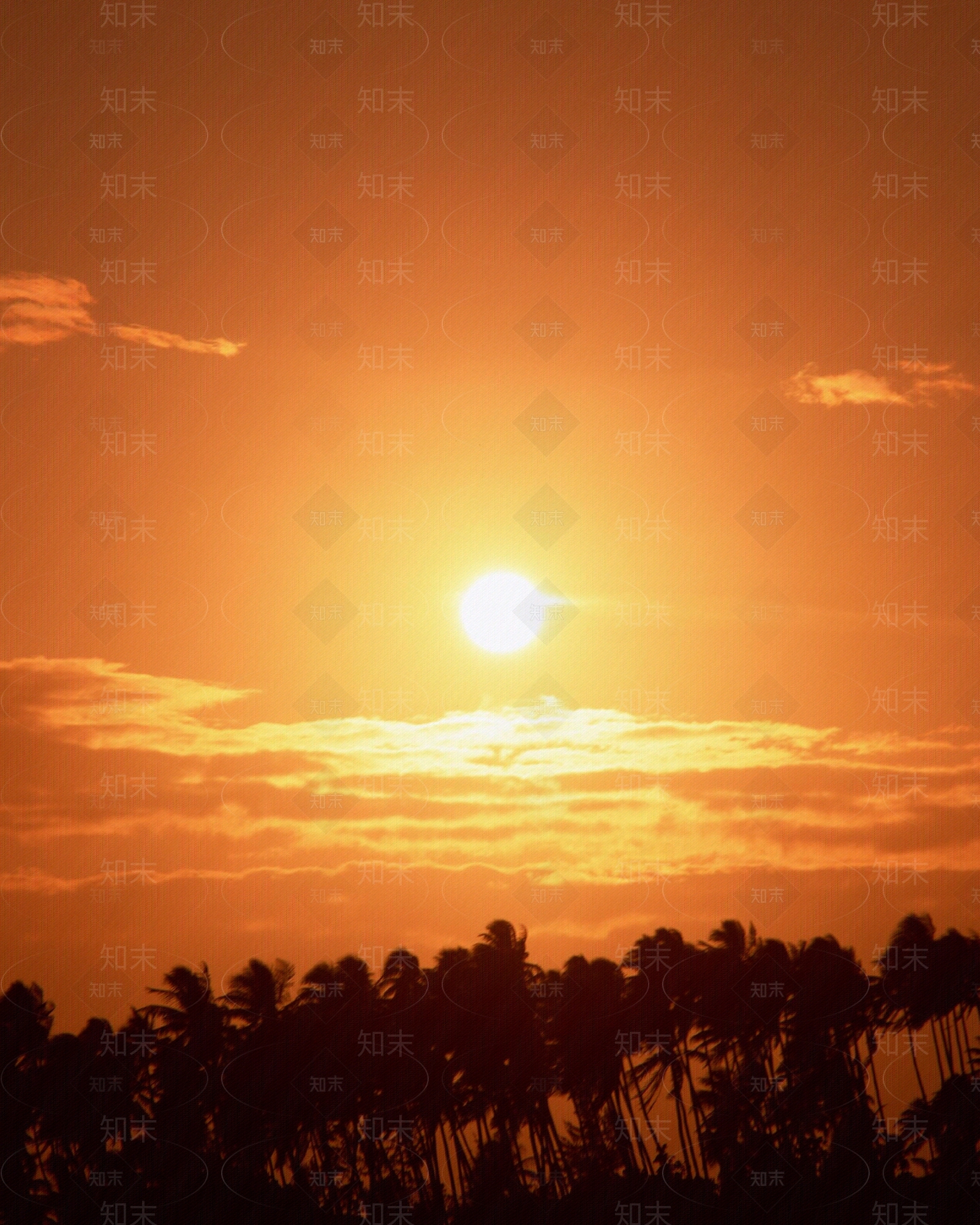 黄昏夕阳落日午后阳光大海天空日景云朵夕阳清晨傍晚天空图外景天空多云贴图下载【ID:1149052227】
