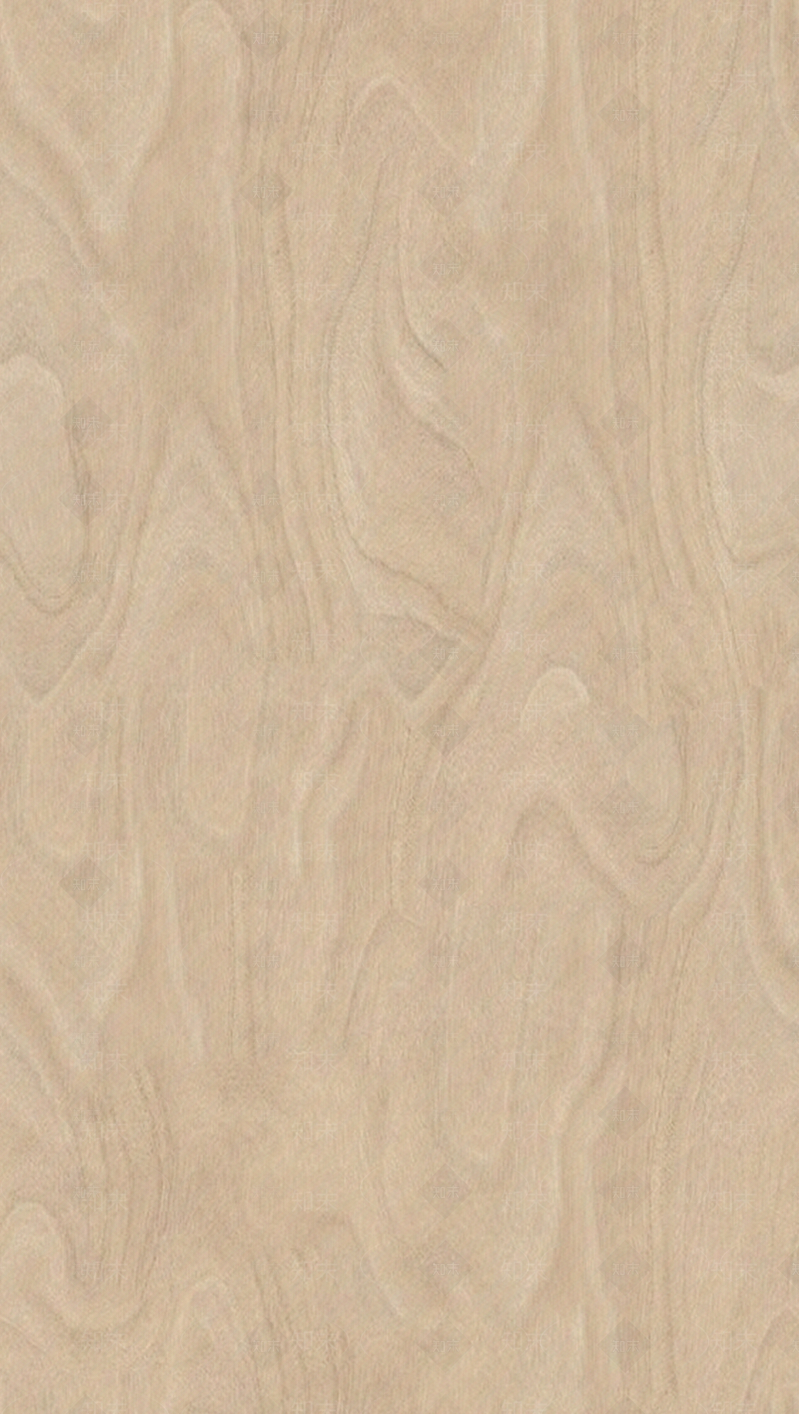 无缝桦木木纹贴图下载【ID:1149065222】