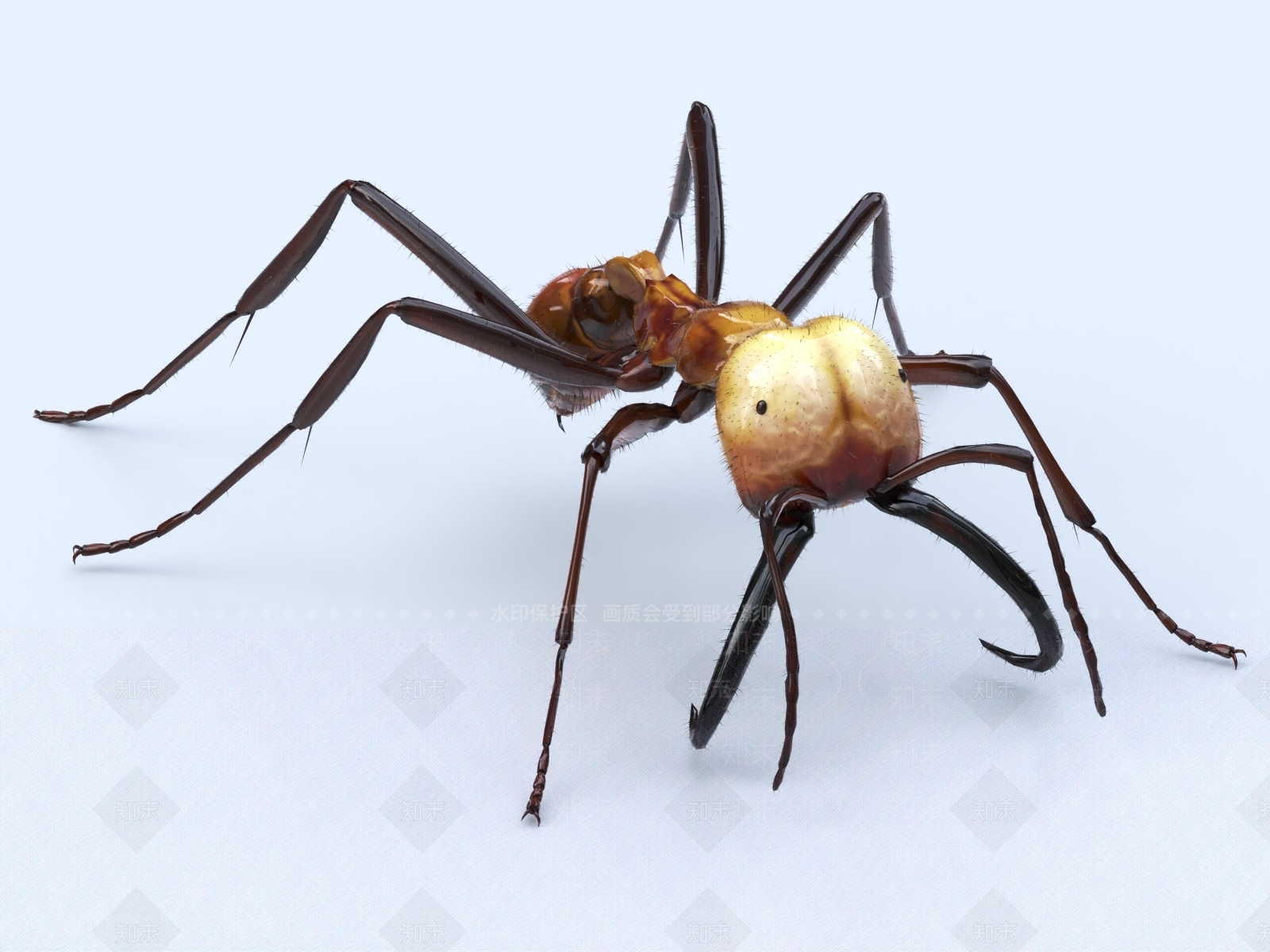 蚂蚁3D模型下载【ID:1149073442】