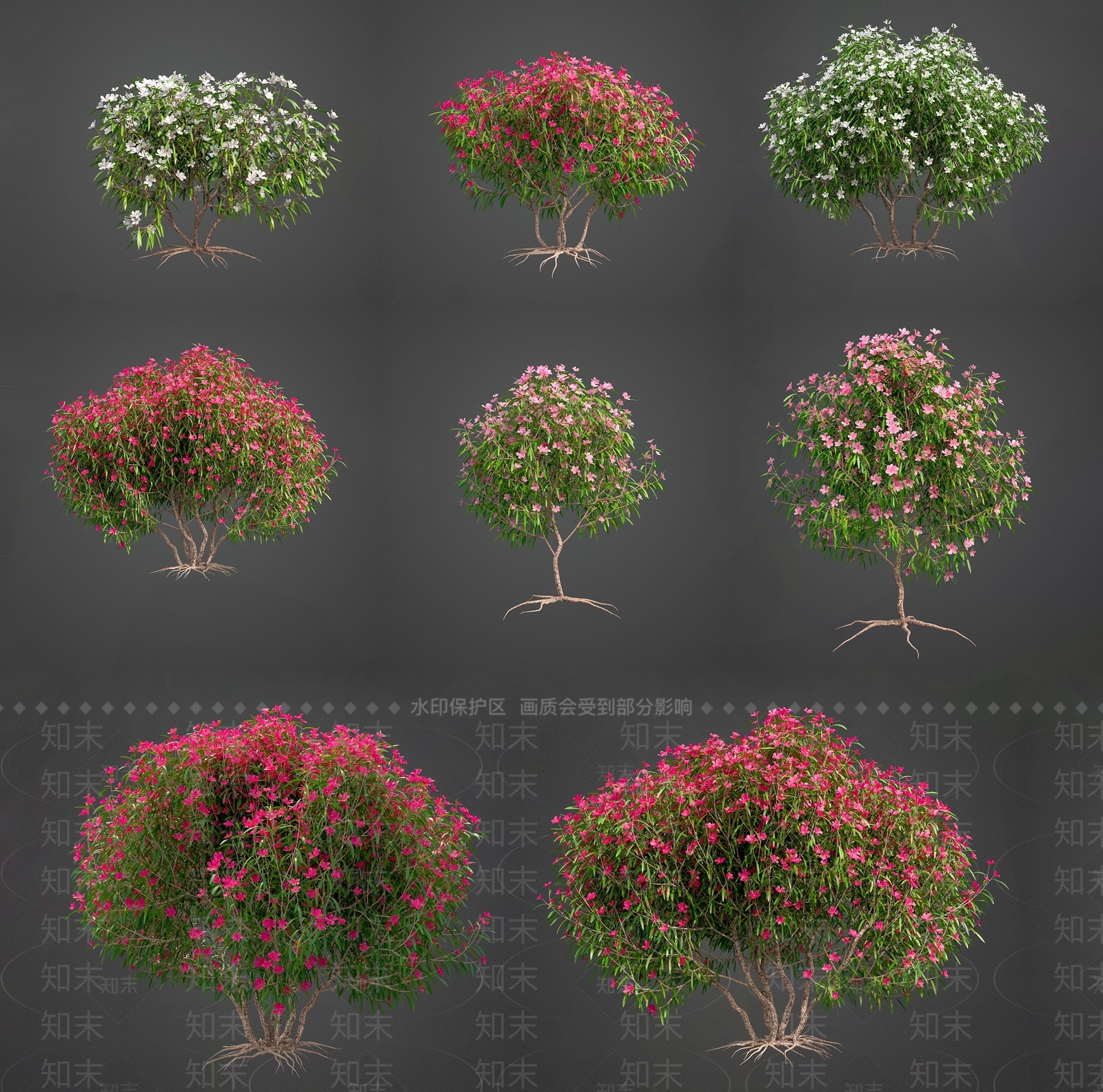 灌木3D模型下载【ID:1149080409】