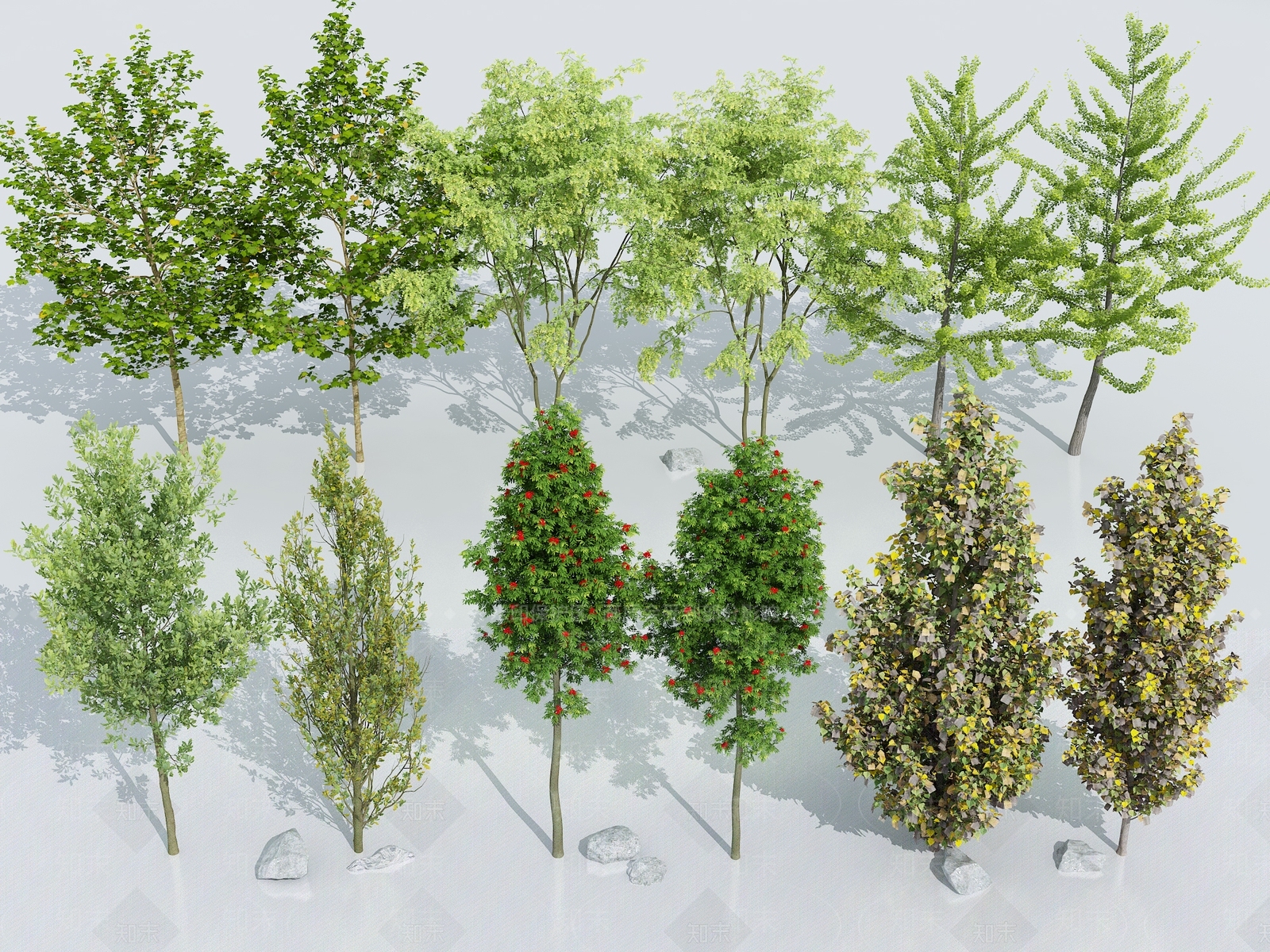 行道树SU模型下载【ID:1149125396】