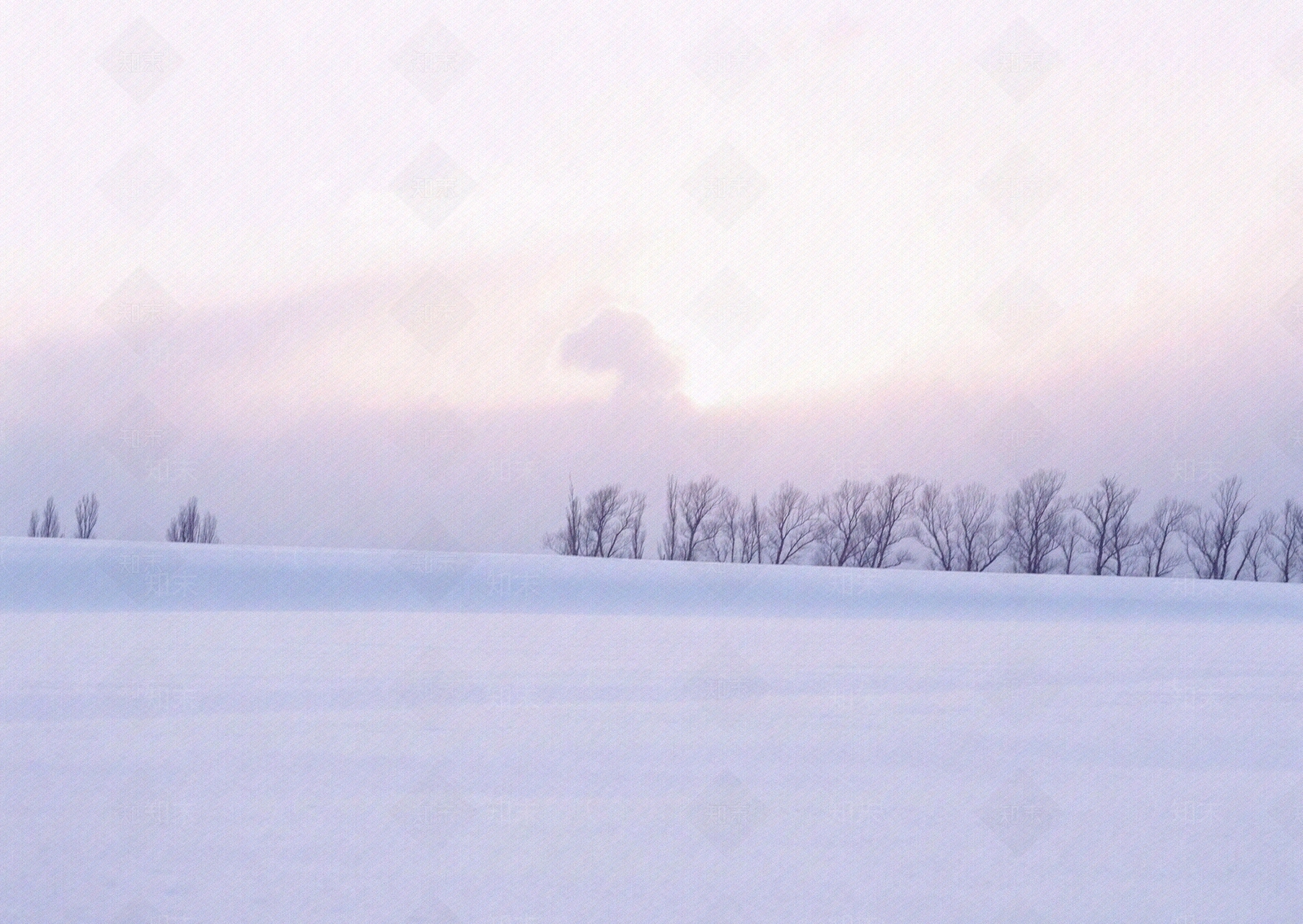 北方雪天天空雪地白色雪景冬季天空贴图下载【ID:1149135201】