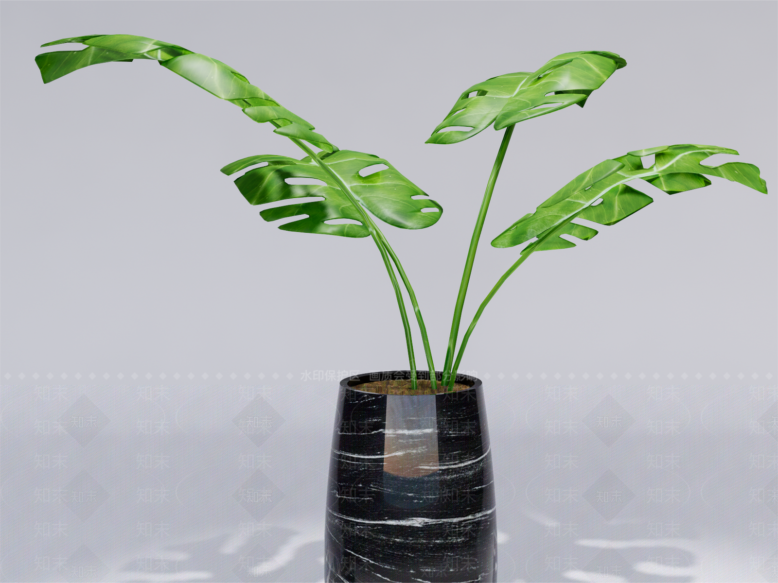 大叶芭蕉叶盆栽SU模型下载【ID:1149154757】