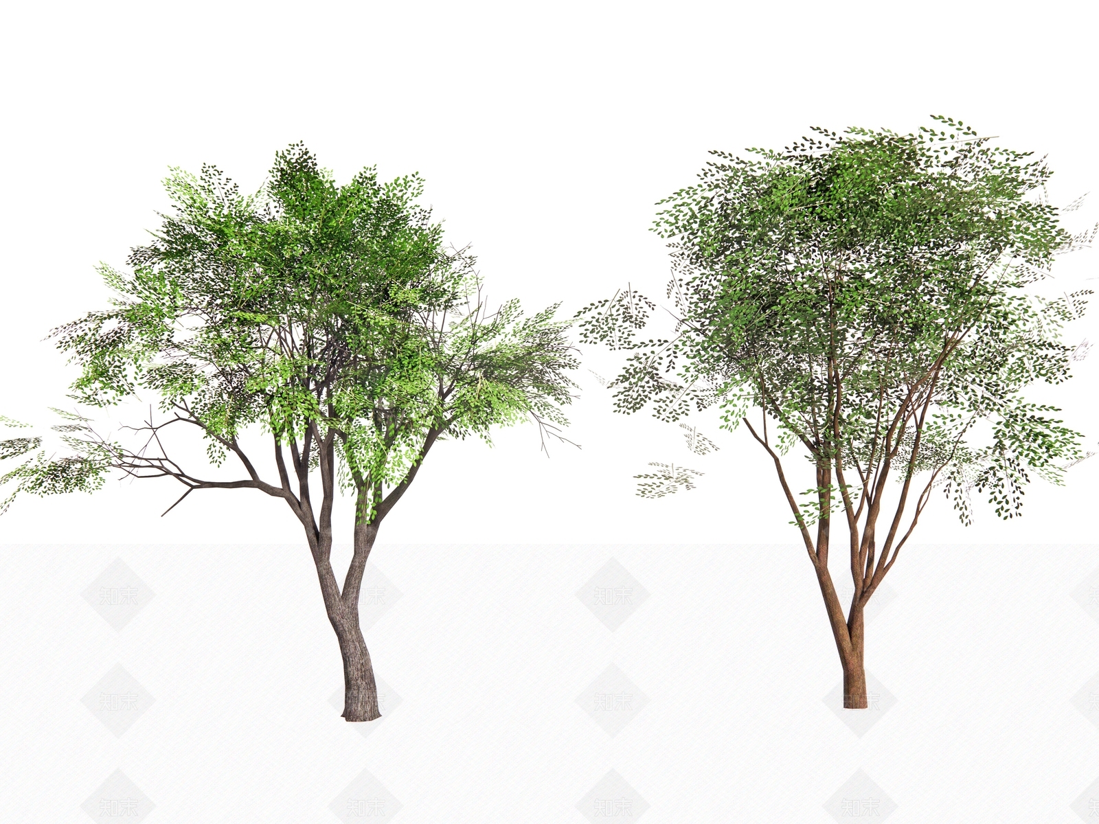 乔木3D模型下载【ID:1149163223】