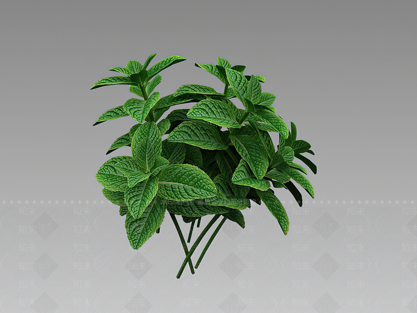 草3D模型下载【ID:1149165295】