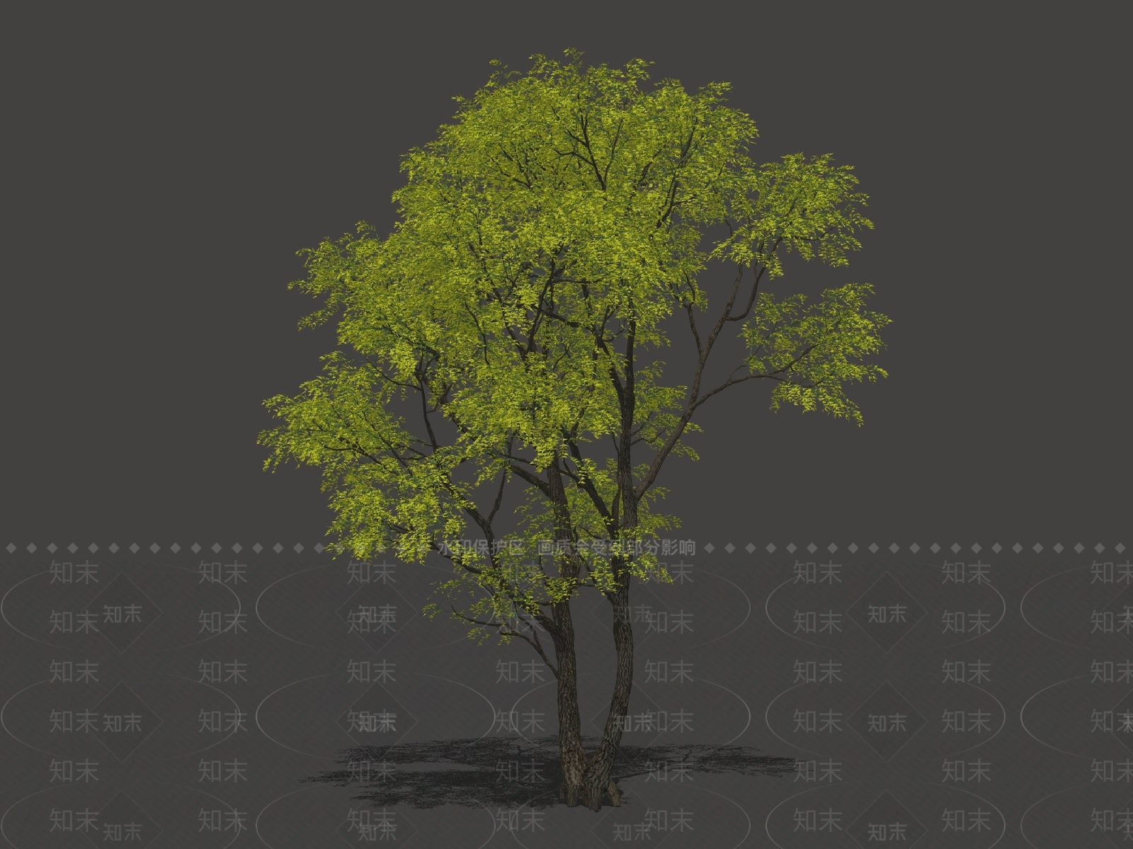 行道树SU模型下载【ID:1149249030】