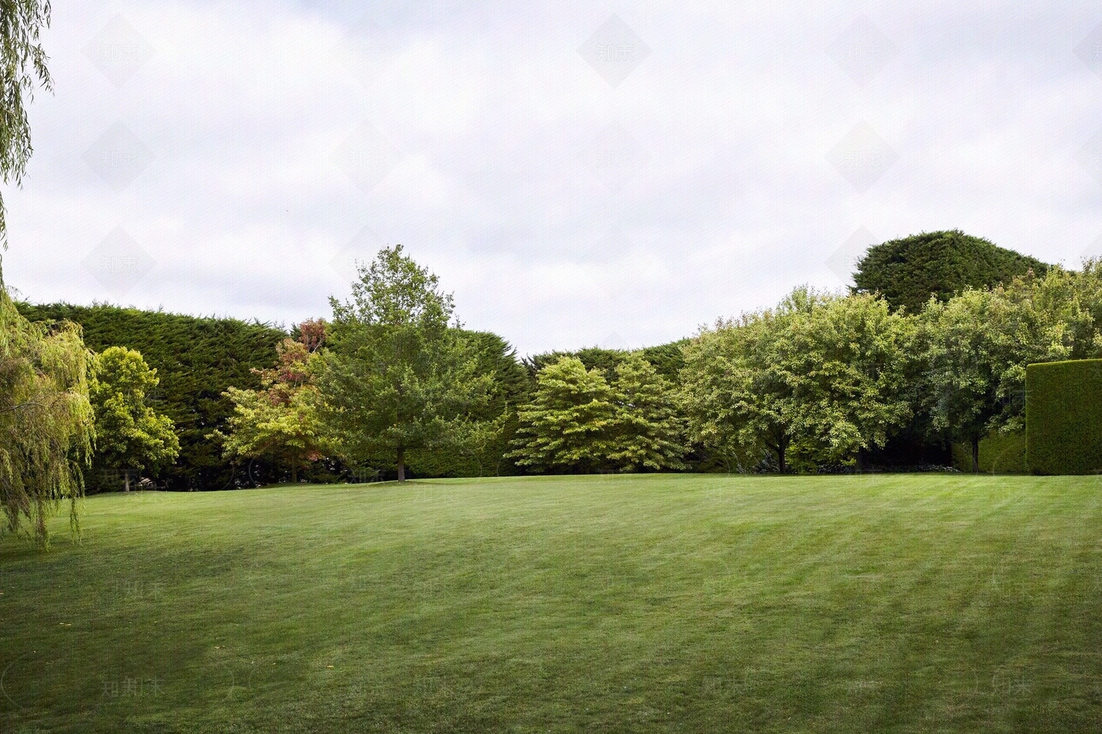 公园花园草坪草地天空外景贴图下载【ID:1149304072】