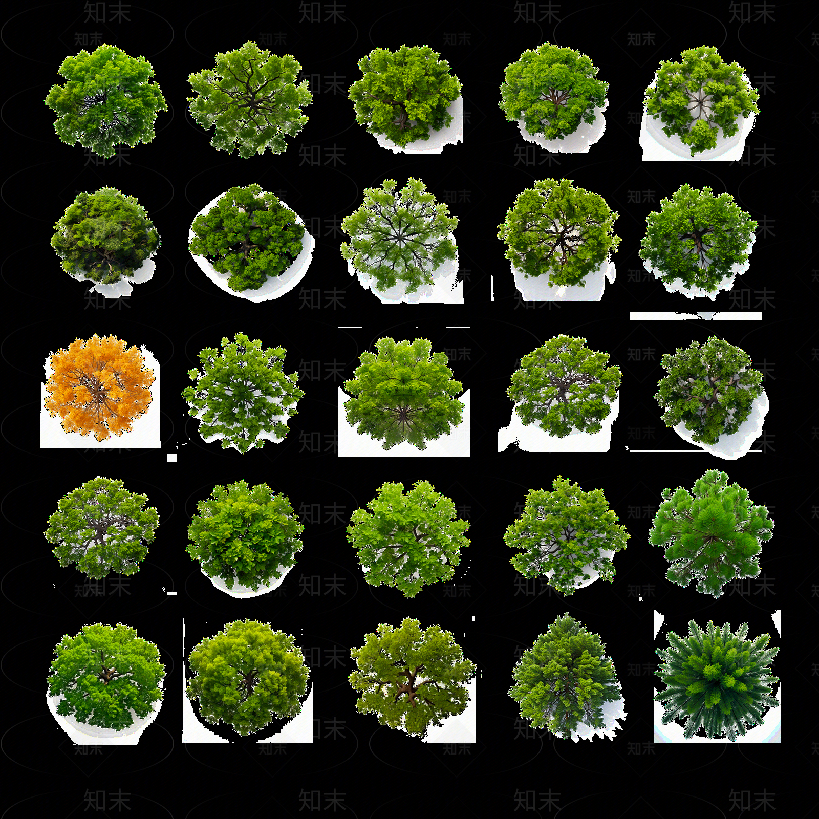 彩平植物png格式贴图下载【ID:1149307186】