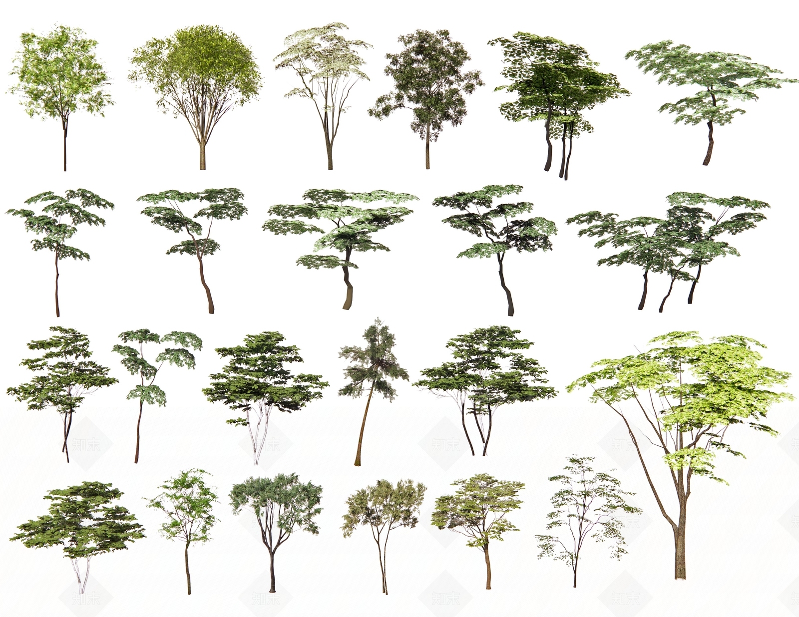 乔木3D模型下载【ID:1149364136】