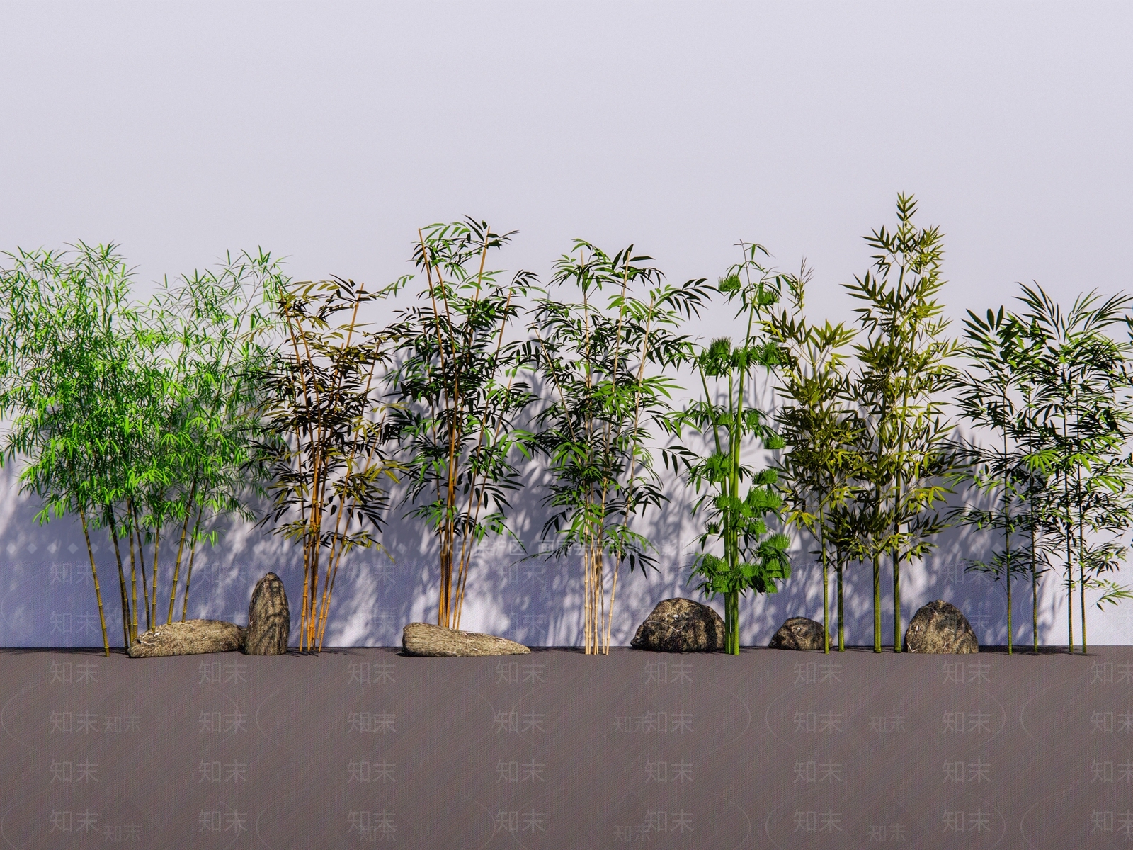 竹子植物组合SU模型下载【ID:1149378744】
