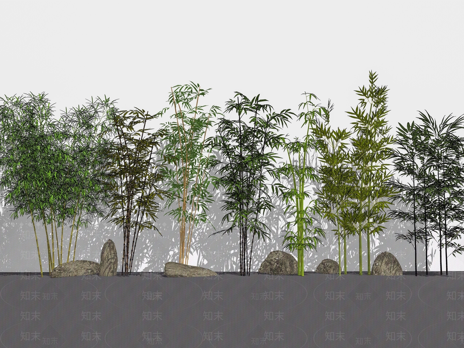 竹子植物组合SU模型下载【ID:1149378744】
