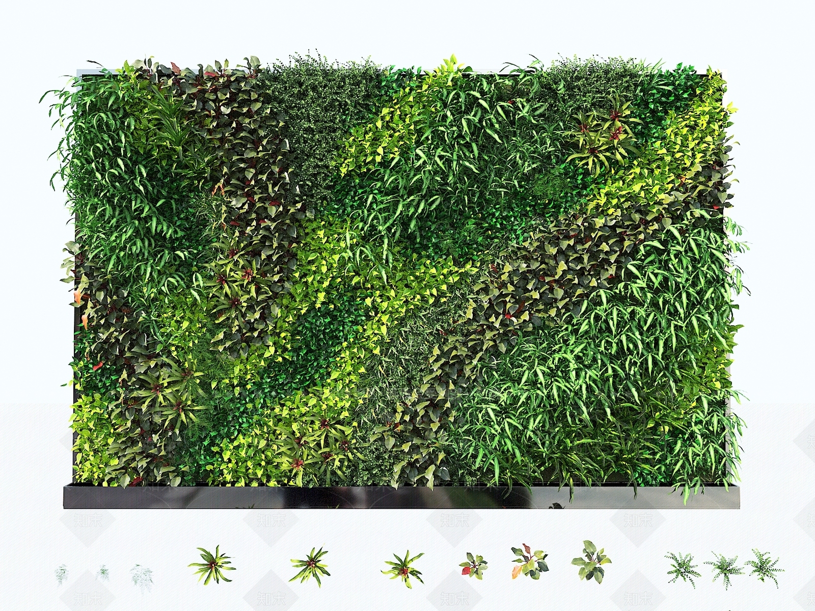植物墙3D模型下载【ID:1149401385】