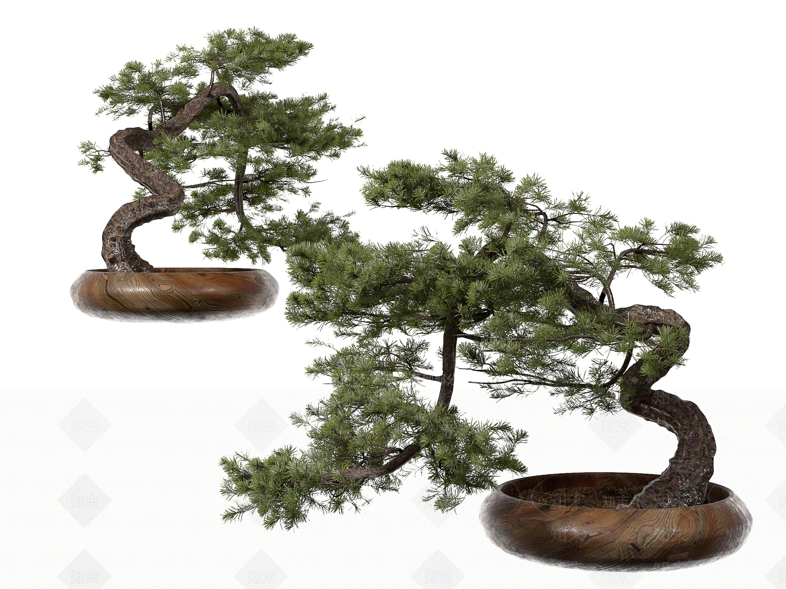 新中式罗汉松盆景3D模型下载【ID:1149407951】