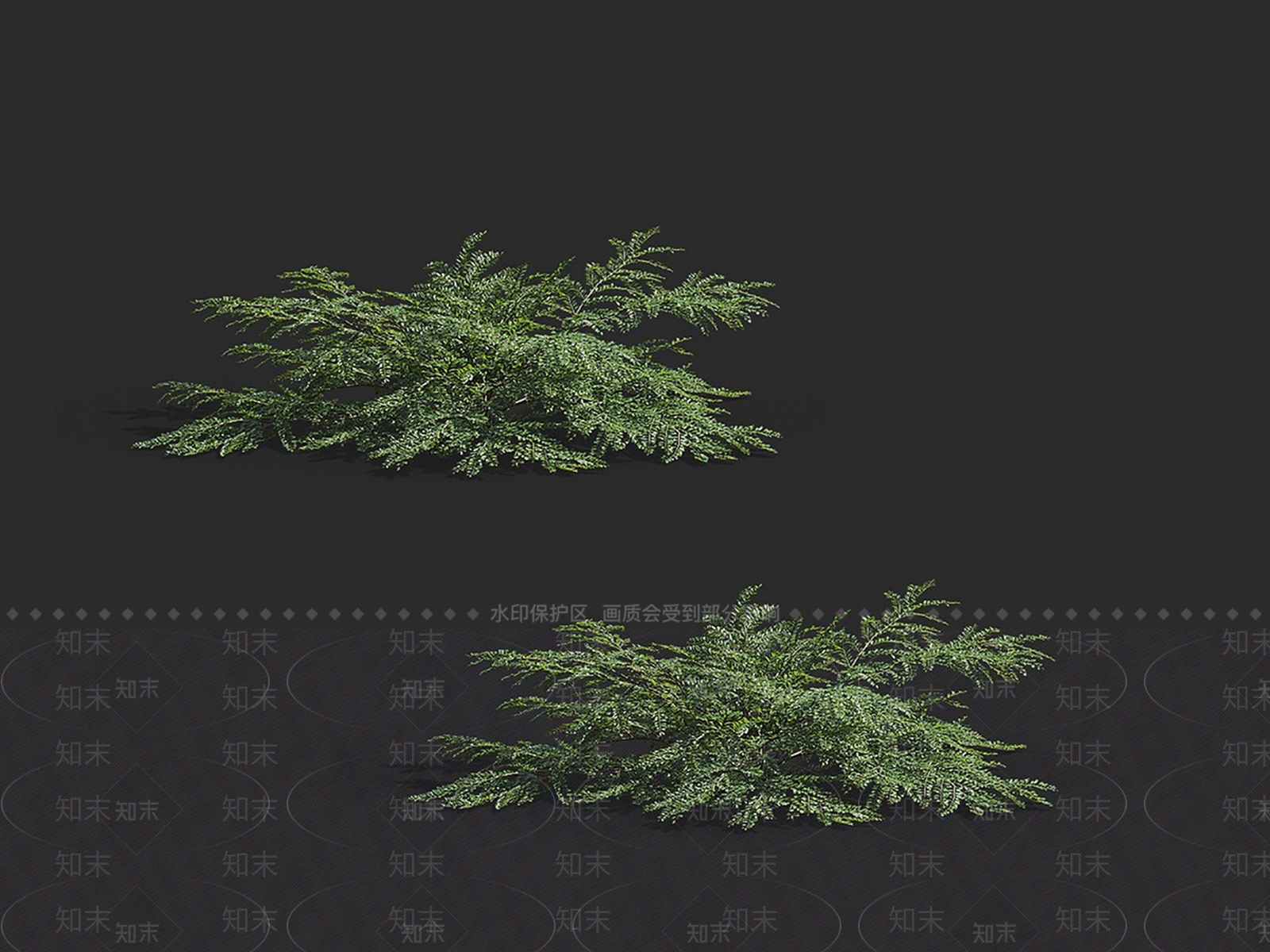 草3D模型下载【ID:1149464718】