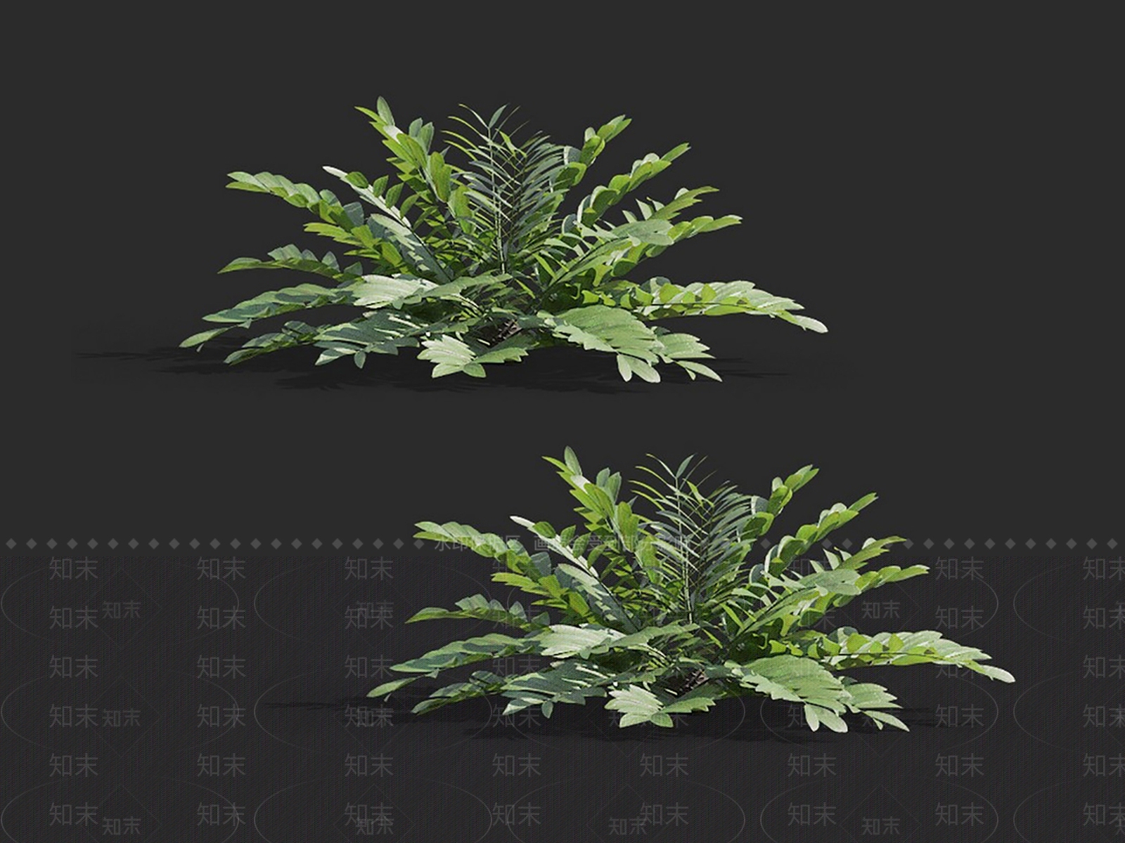 草3D模型下载【ID:1149466701】