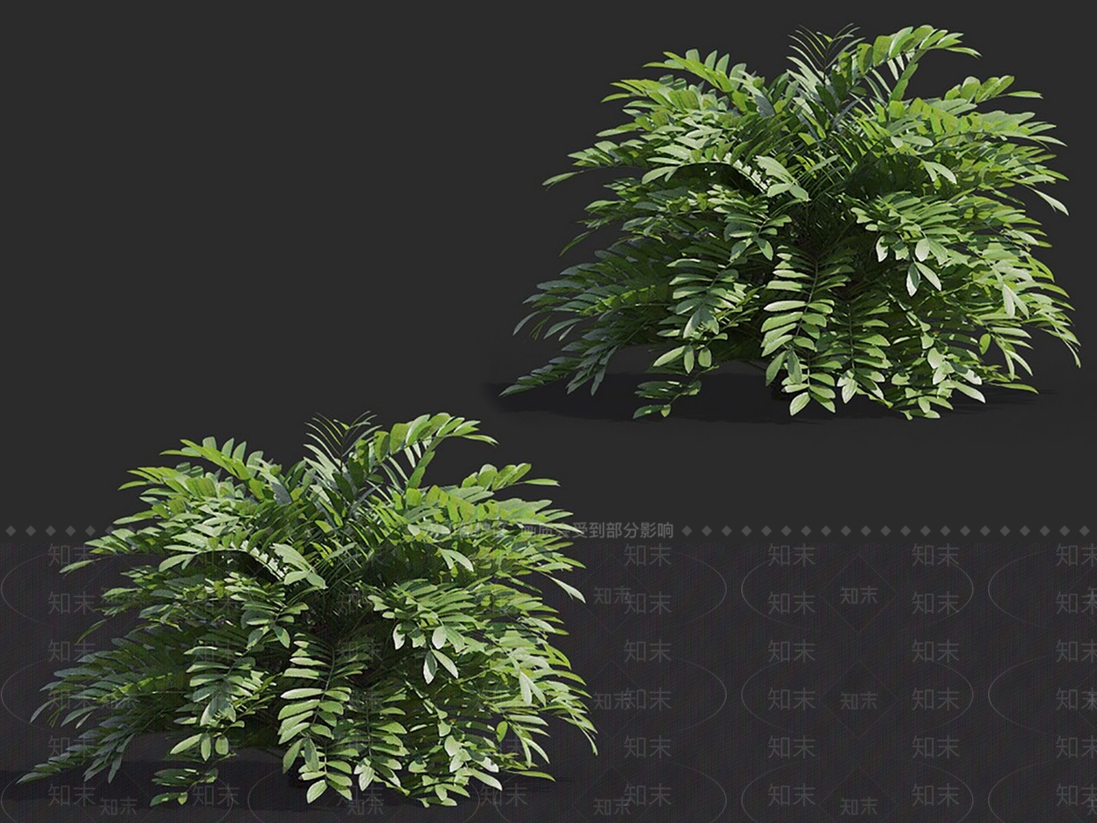 草3D模型下载【ID:1149466726】
