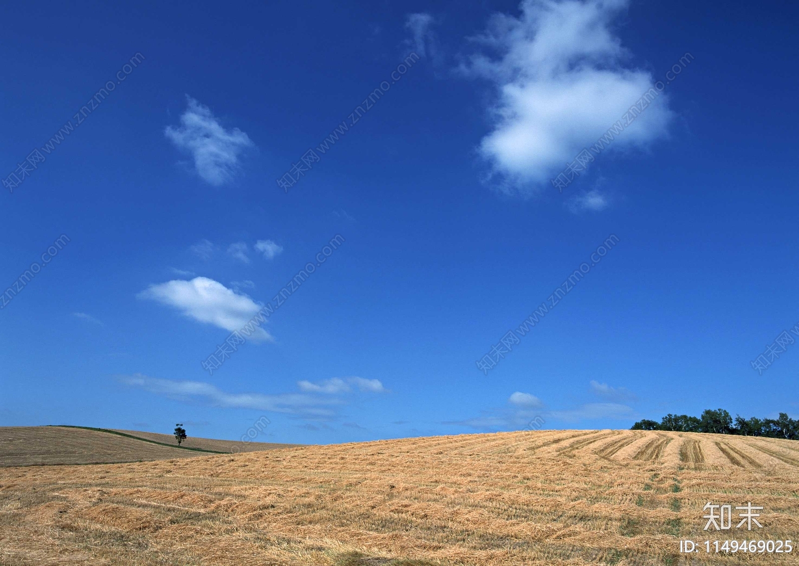 沙漠天空白云风景贴图下载【ID:1149469025】