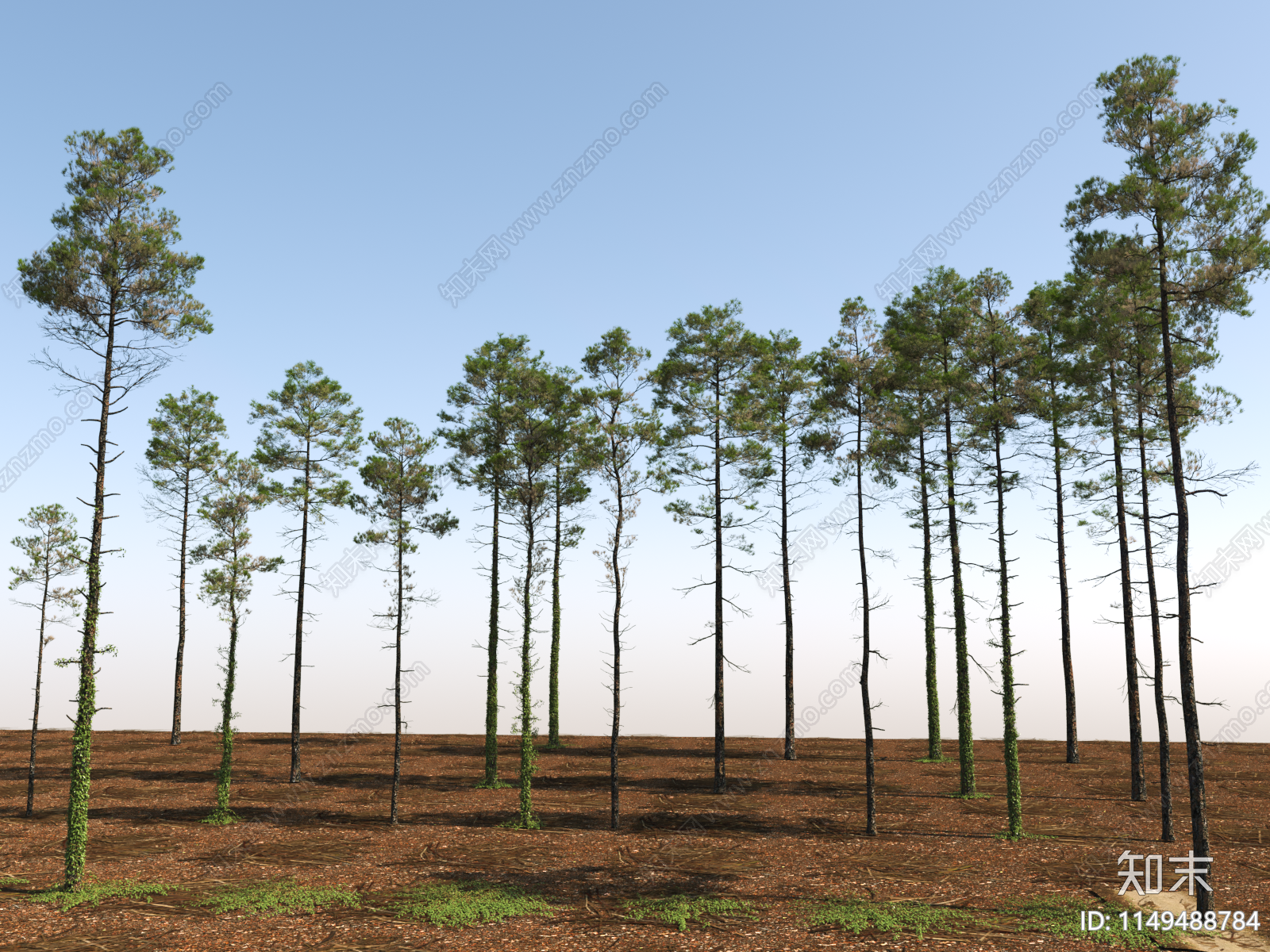 松树集合3D模型下载【ID:1149488784】