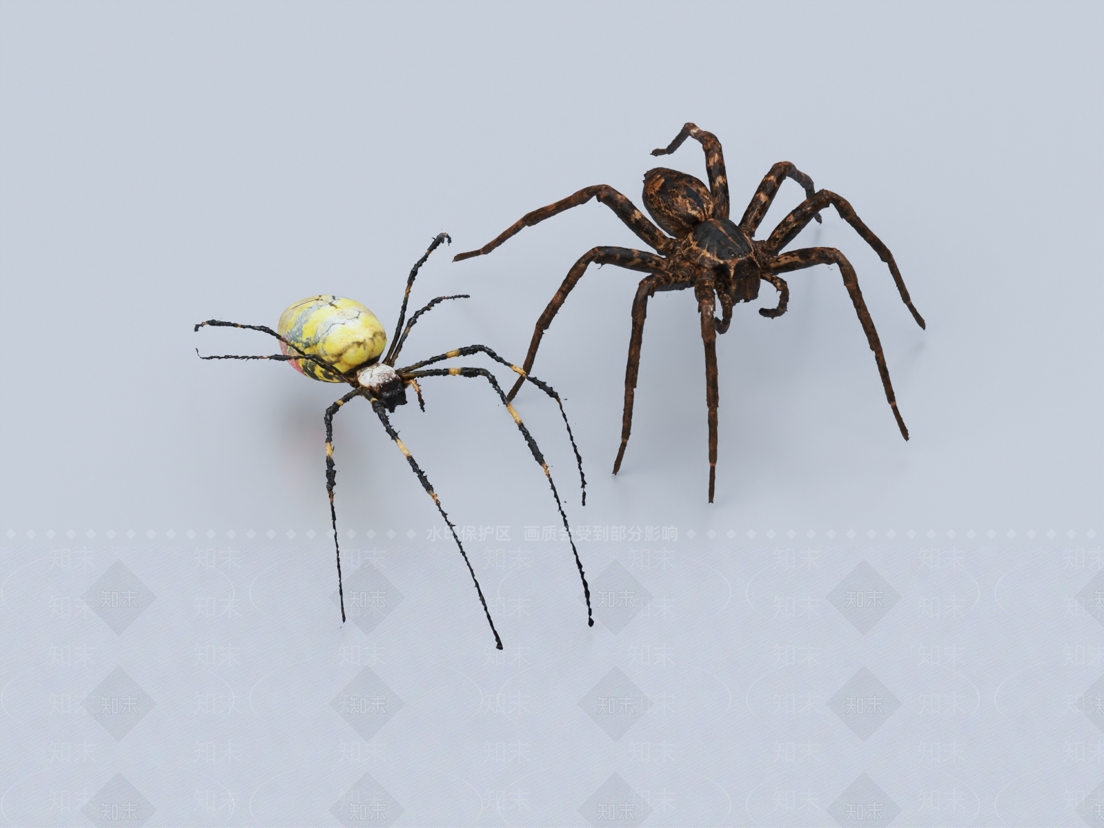 蜘蛛3D模型下载【ID:1149610506】