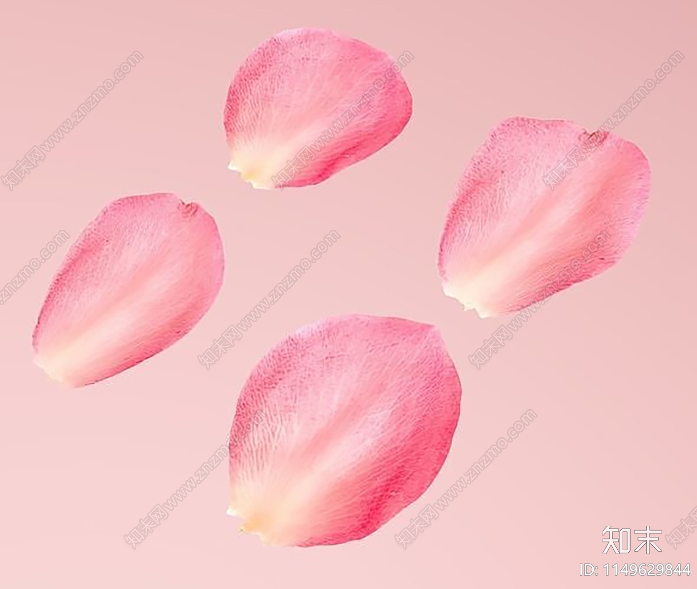 花瓣3D模型下载【ID:1149629844】